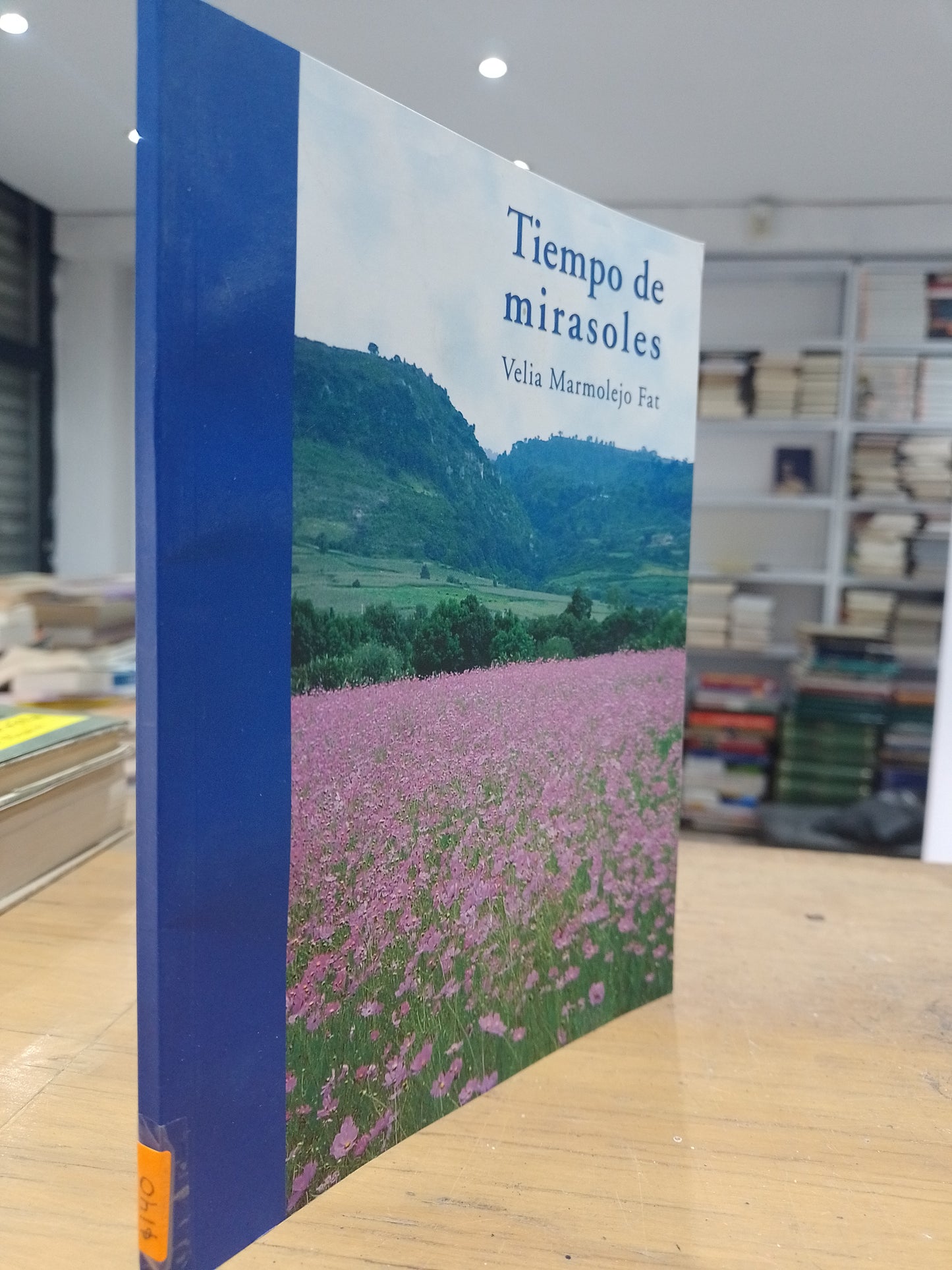 TIEMPO DE MIRASOLES POR VELIA MORMOLEJO USADO NOVELA JUAREZ 515