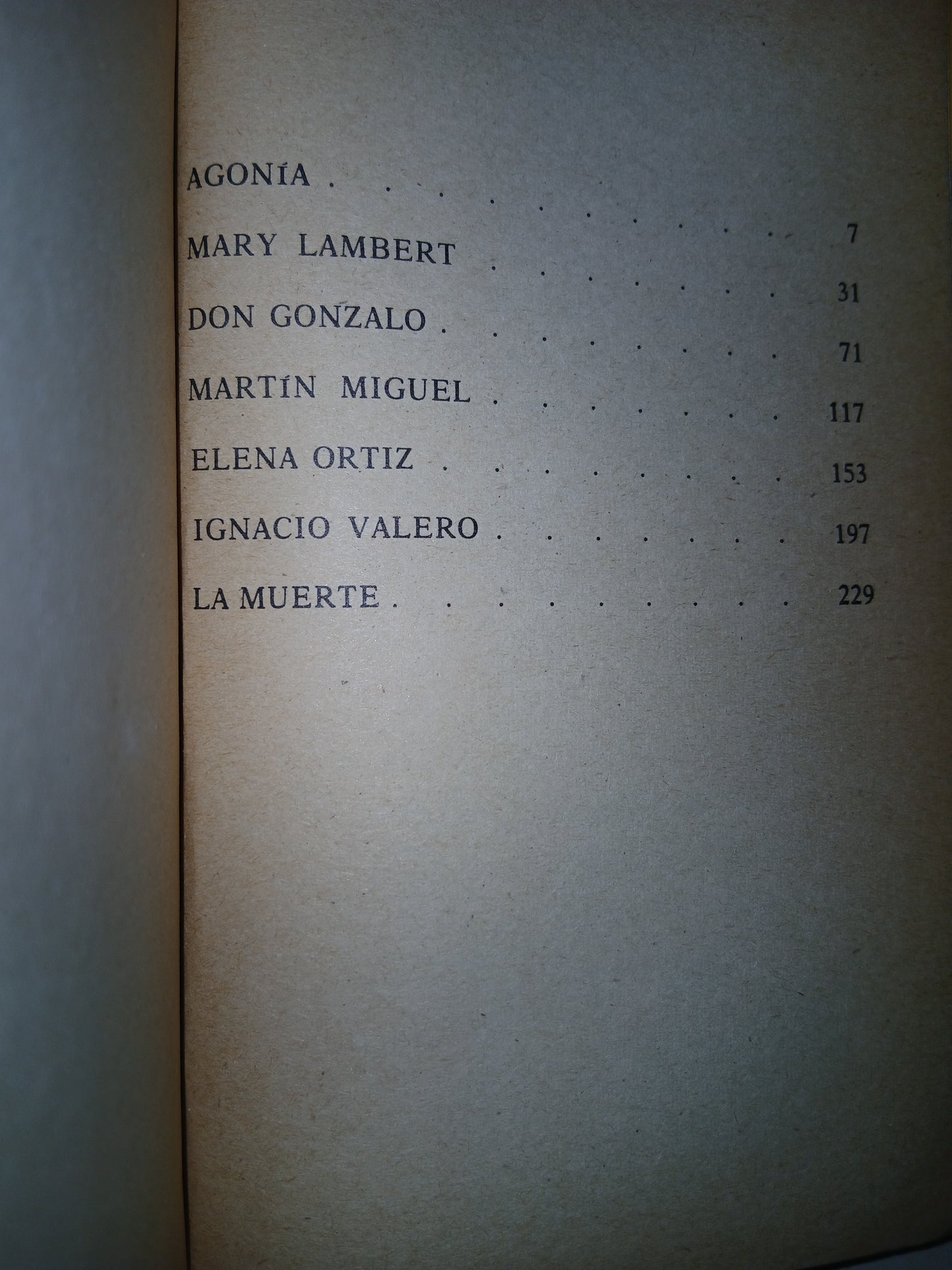 ENTRE DOS OSCURIDADES POR CARMEN KURTZ USADO NOVELA LITERARIO 207
