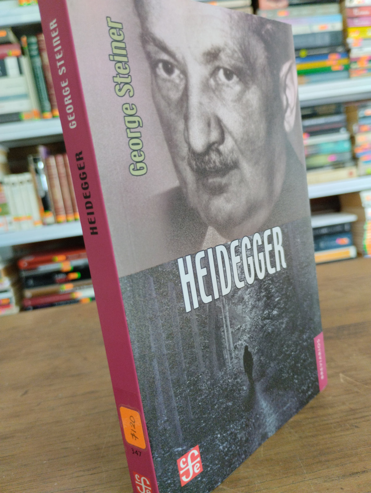 HEIDEGGER GEORGE STEINER USADO SOCIOLOGIA JUAREZ 515