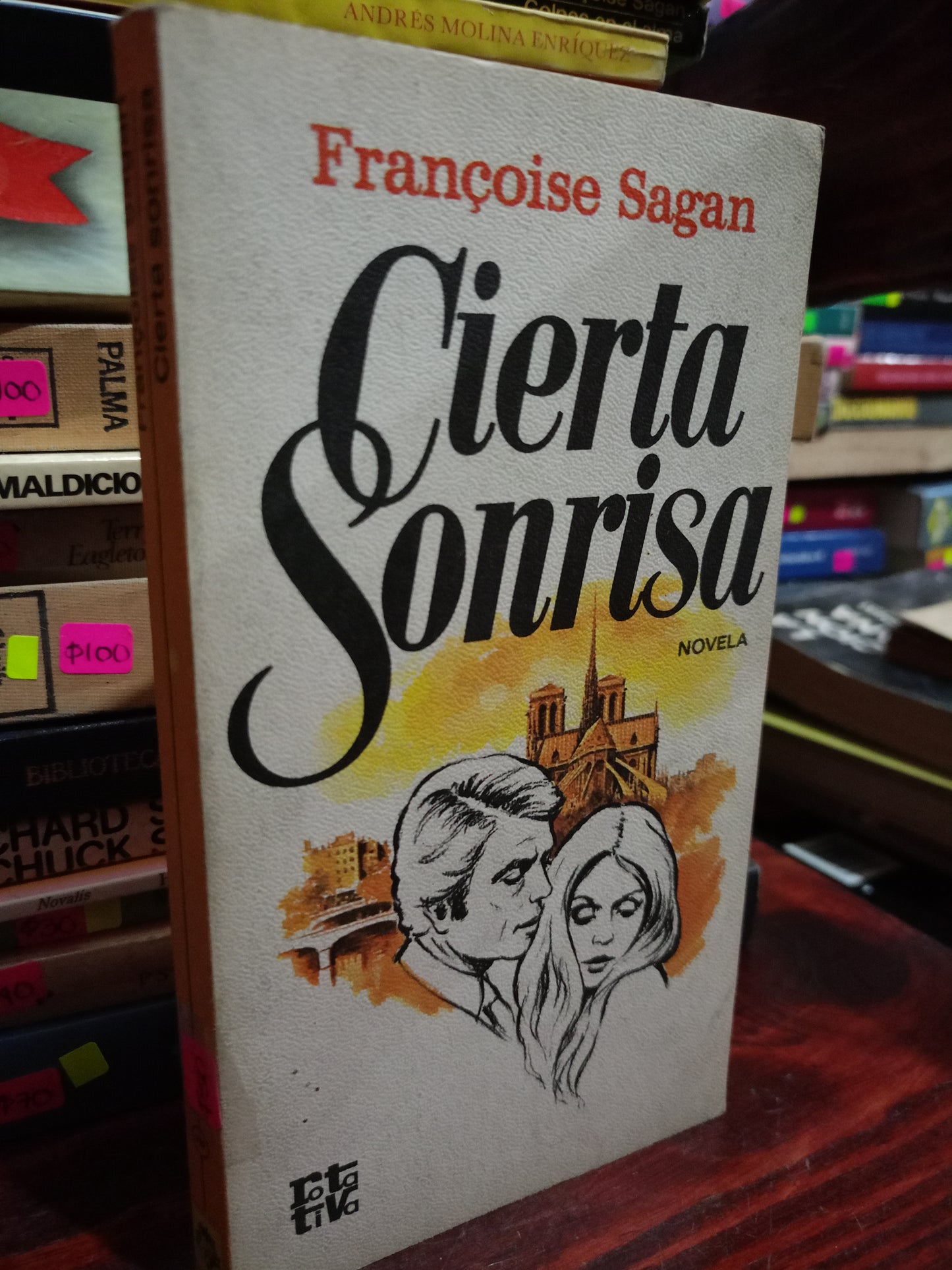 CIERTA SONRISA POR FRANCOISE SAGAN USADO NOVELA LITERARIO 305