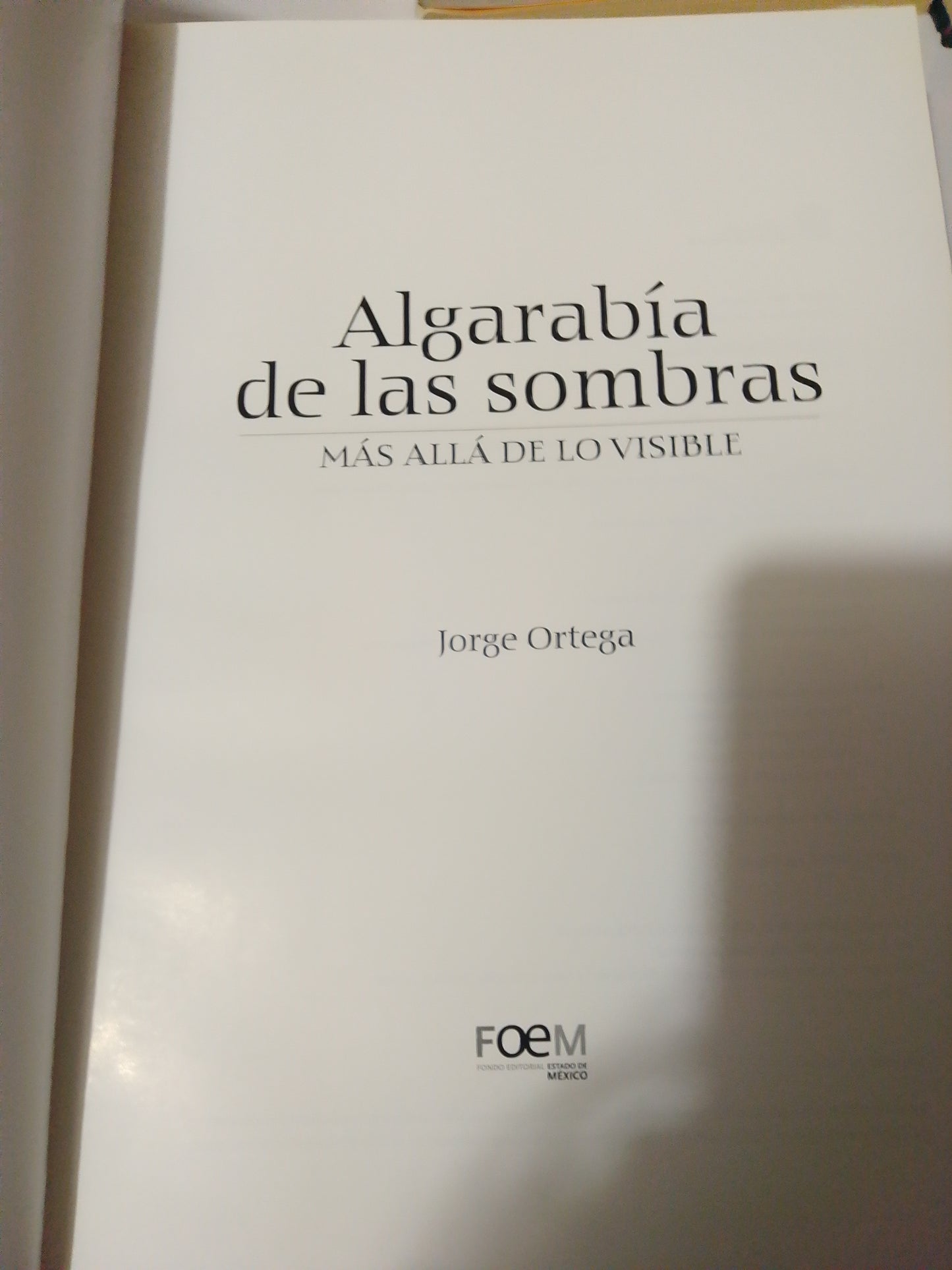 ALGARABIA DE LAS SOBRAS MAS ALLA DE LO VISIBLE POR JORGE ORTEGA USADO ARTE JUAREZ