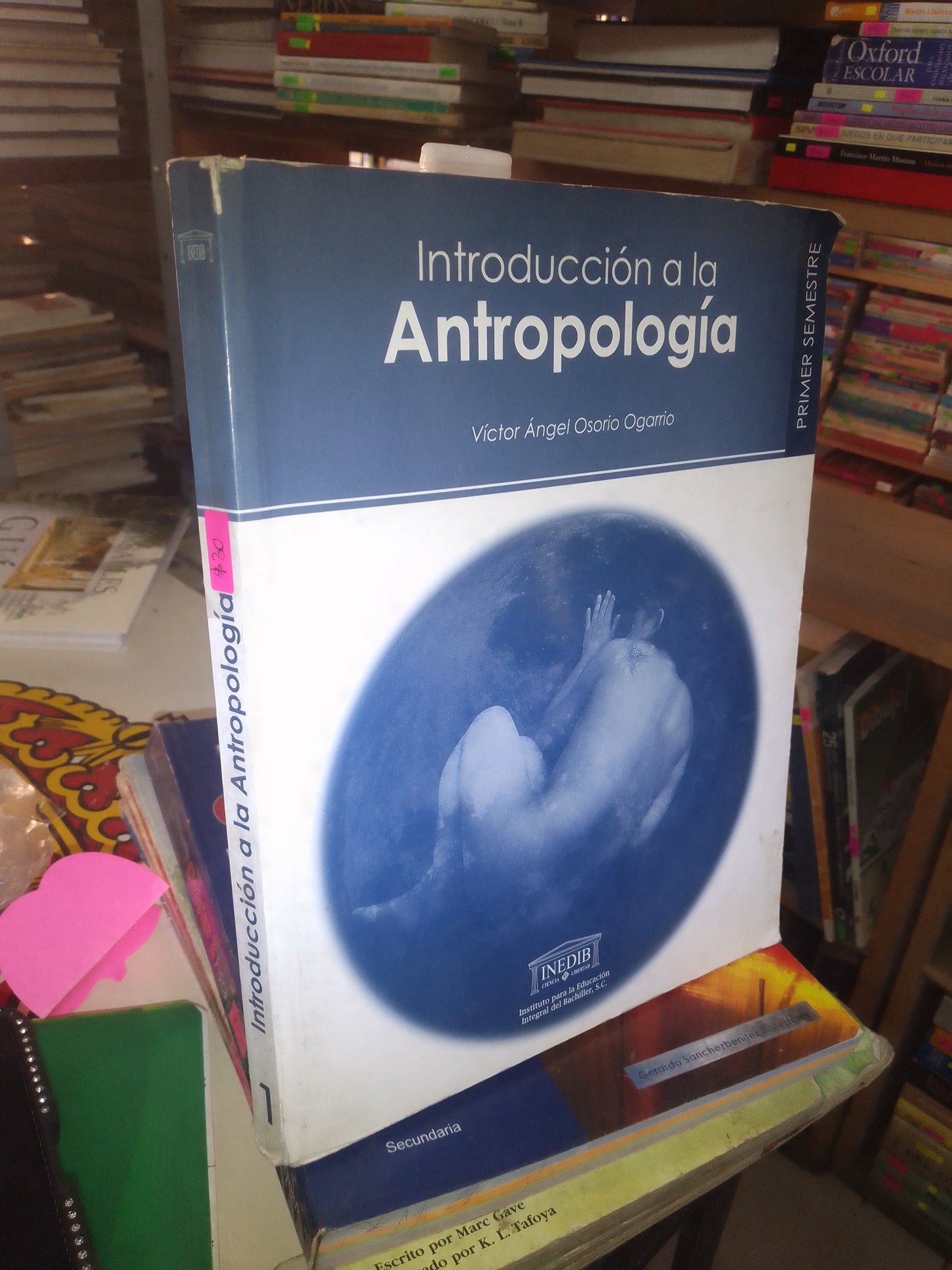 INTRODUCCIÓN A LA ANTROPOLOGÍA POR VÍCTOR ÁNGEL OSORIO OGARRIO USADO ANTROPOLOGÍA LITERARIO 207