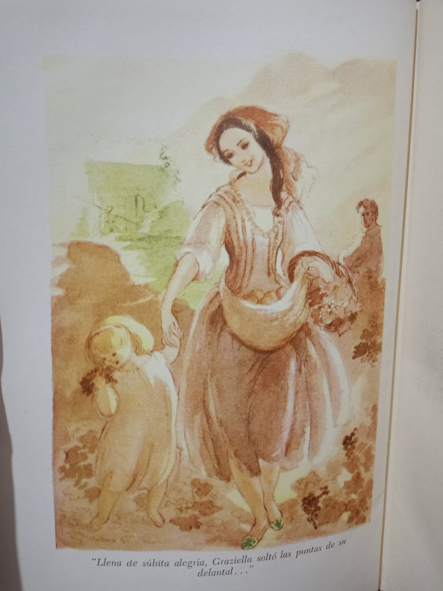 GRASIELLA RAFAEL ALFONSO DE LAMARTINE USADO NOVELA LITERARIO 305