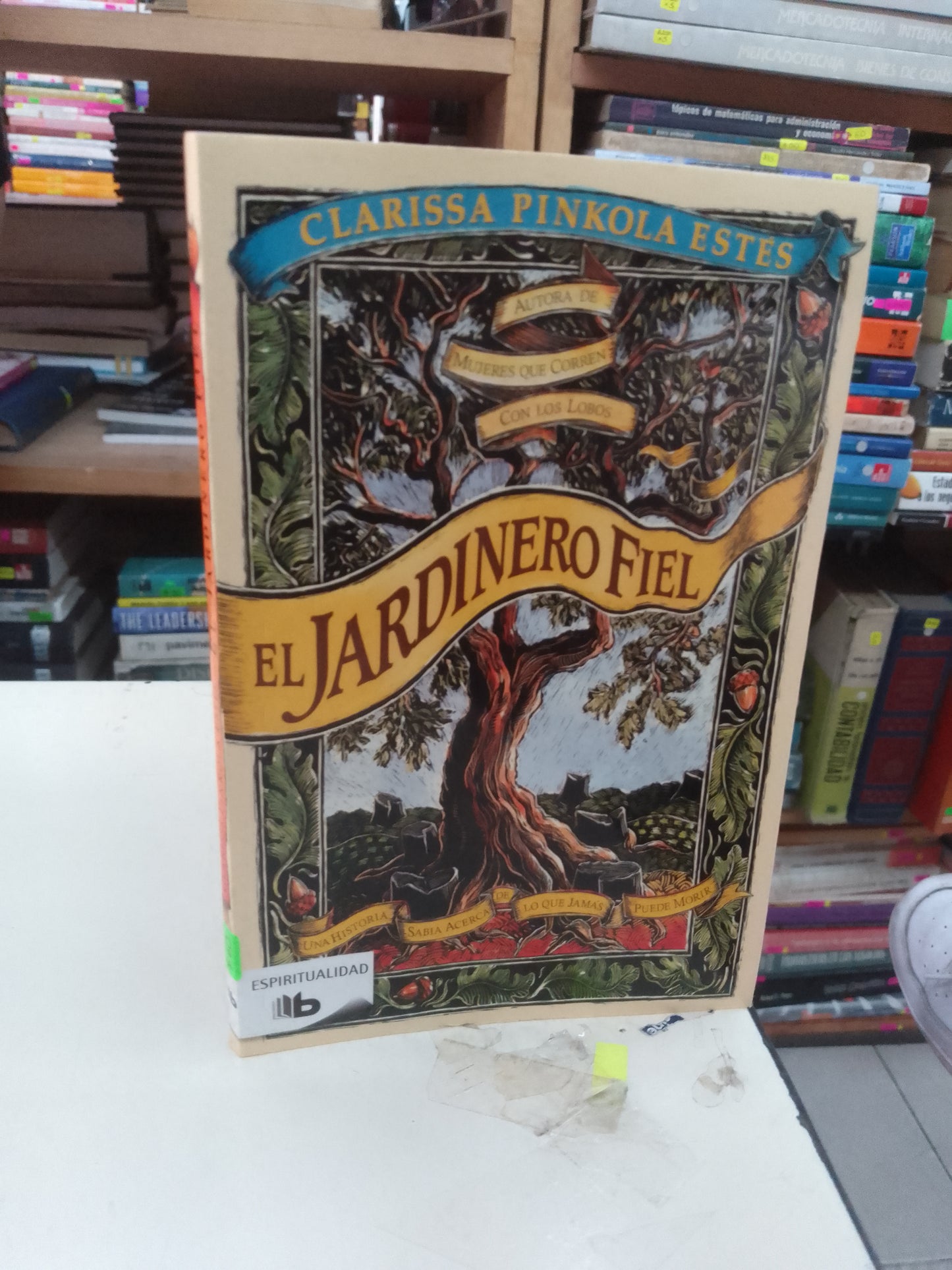 EL JARDINERO FIEL POR CLARISSA PINKOLA ESTES USADO NOVELA LITERARIO 207