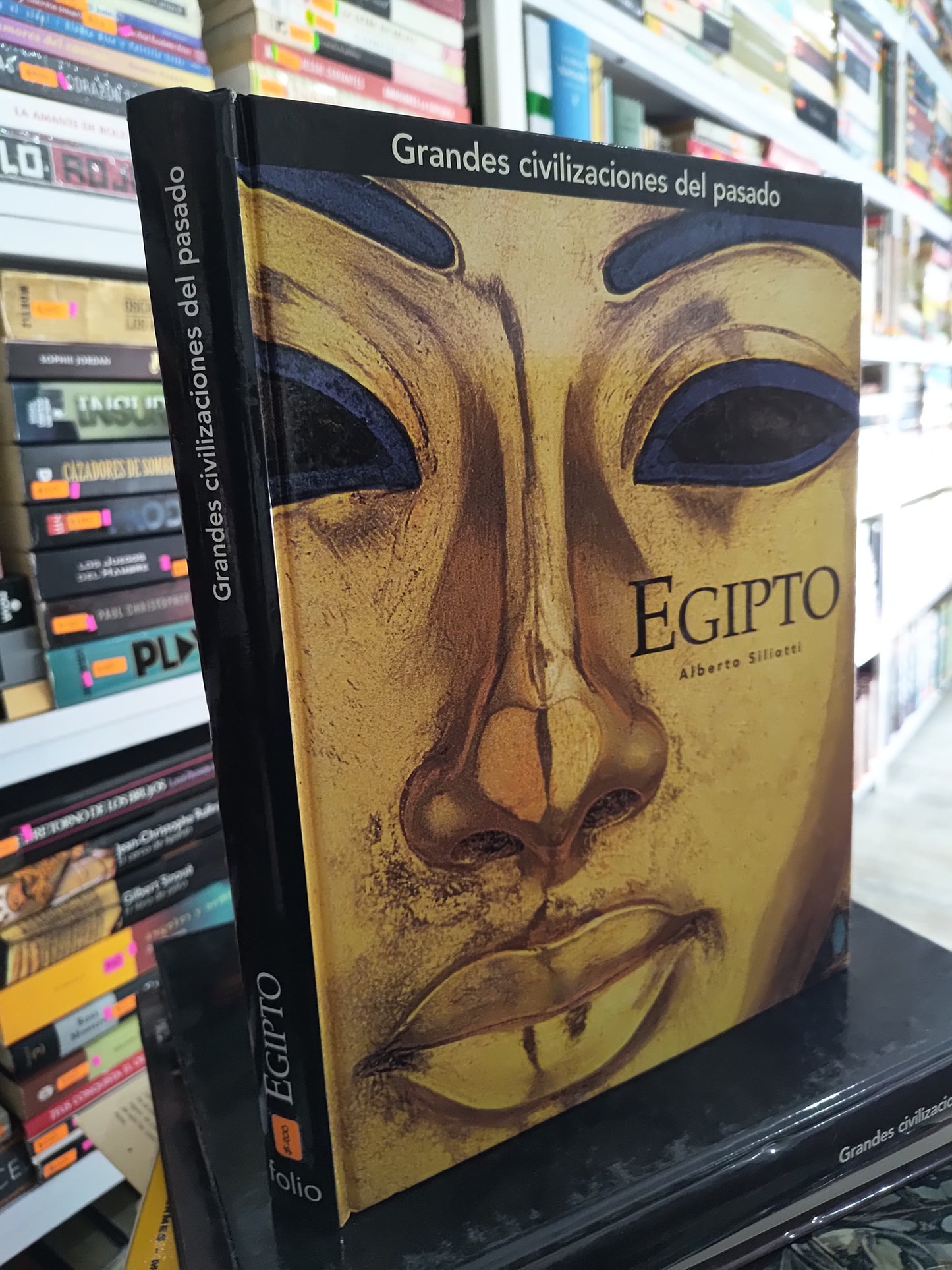 EGIPTO POR ALBERTO SILIOTTI USADO HISTORIA JUAREZ 515