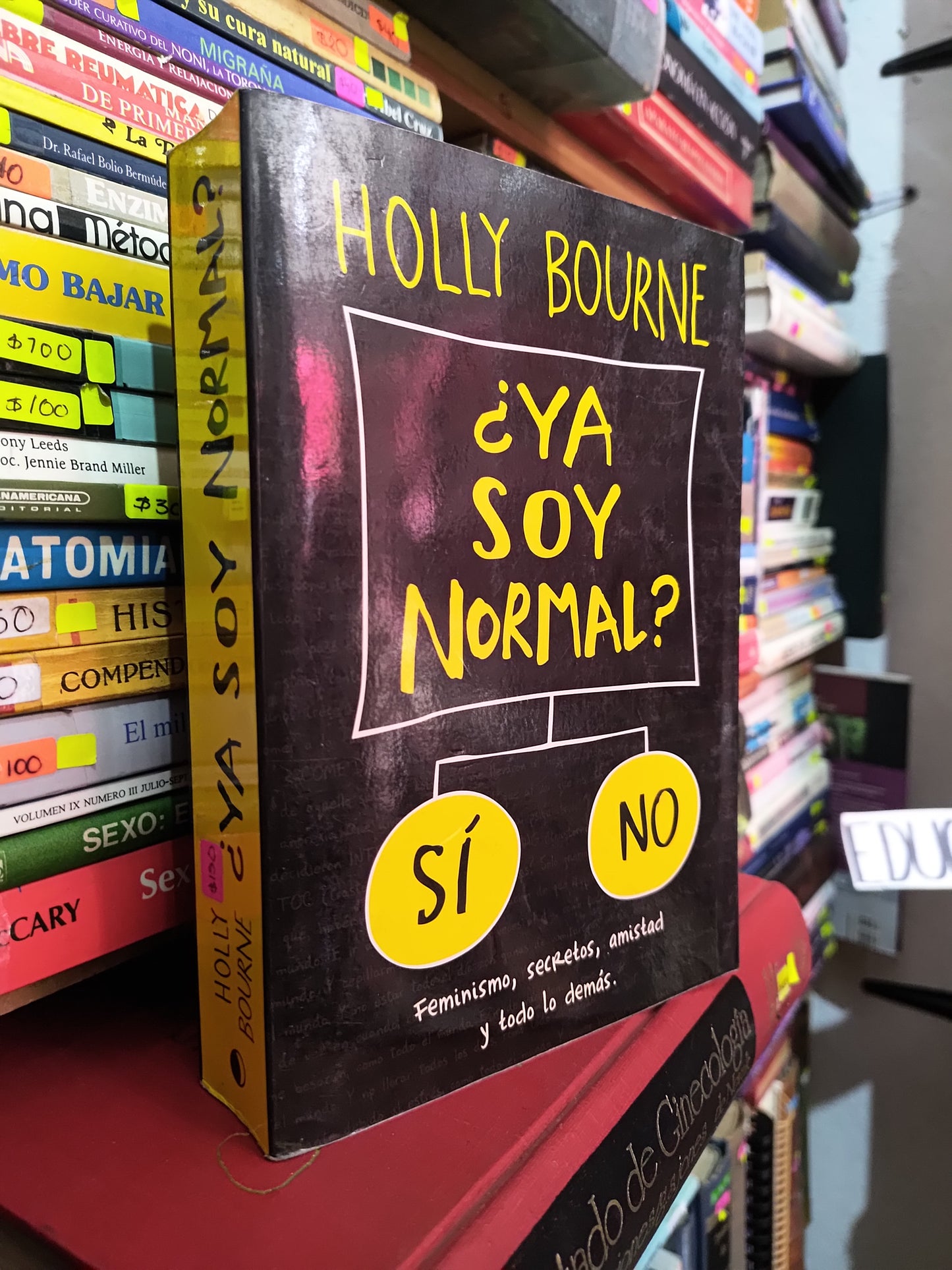 ¿YA SOY NORMAL? POR HOLLY BOURNE USADO NOVELAS LITERARIO 305