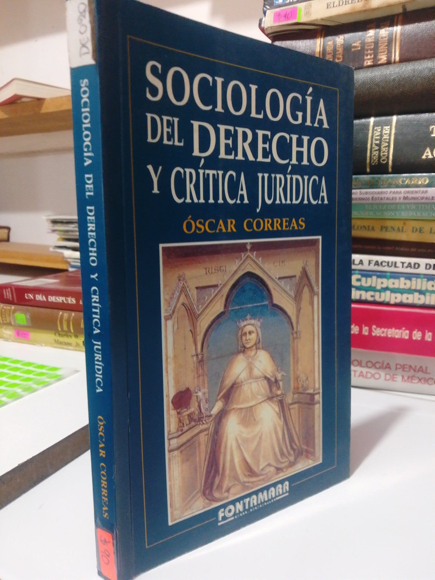SOCIOLOGIA DEL DERECHO Y CRITICA JURIDICA POR OSCAR CORREA USADO DERECHO JUAREZ