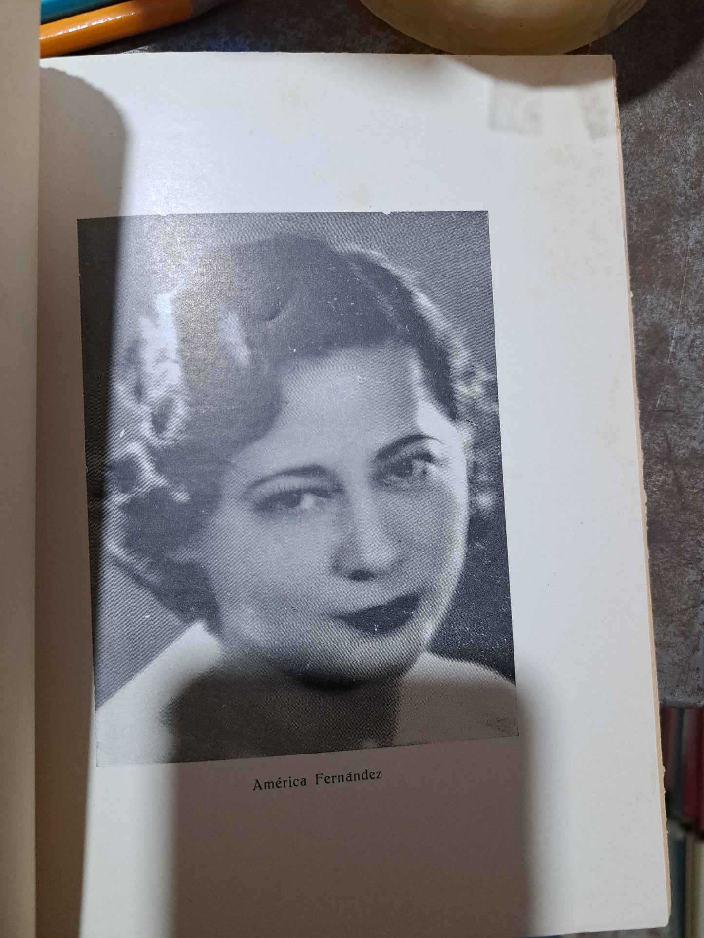 PATRIA Y CORAZÓN AMÉRICA FERNÁNDEZ USADO POESÍA ALDAMA