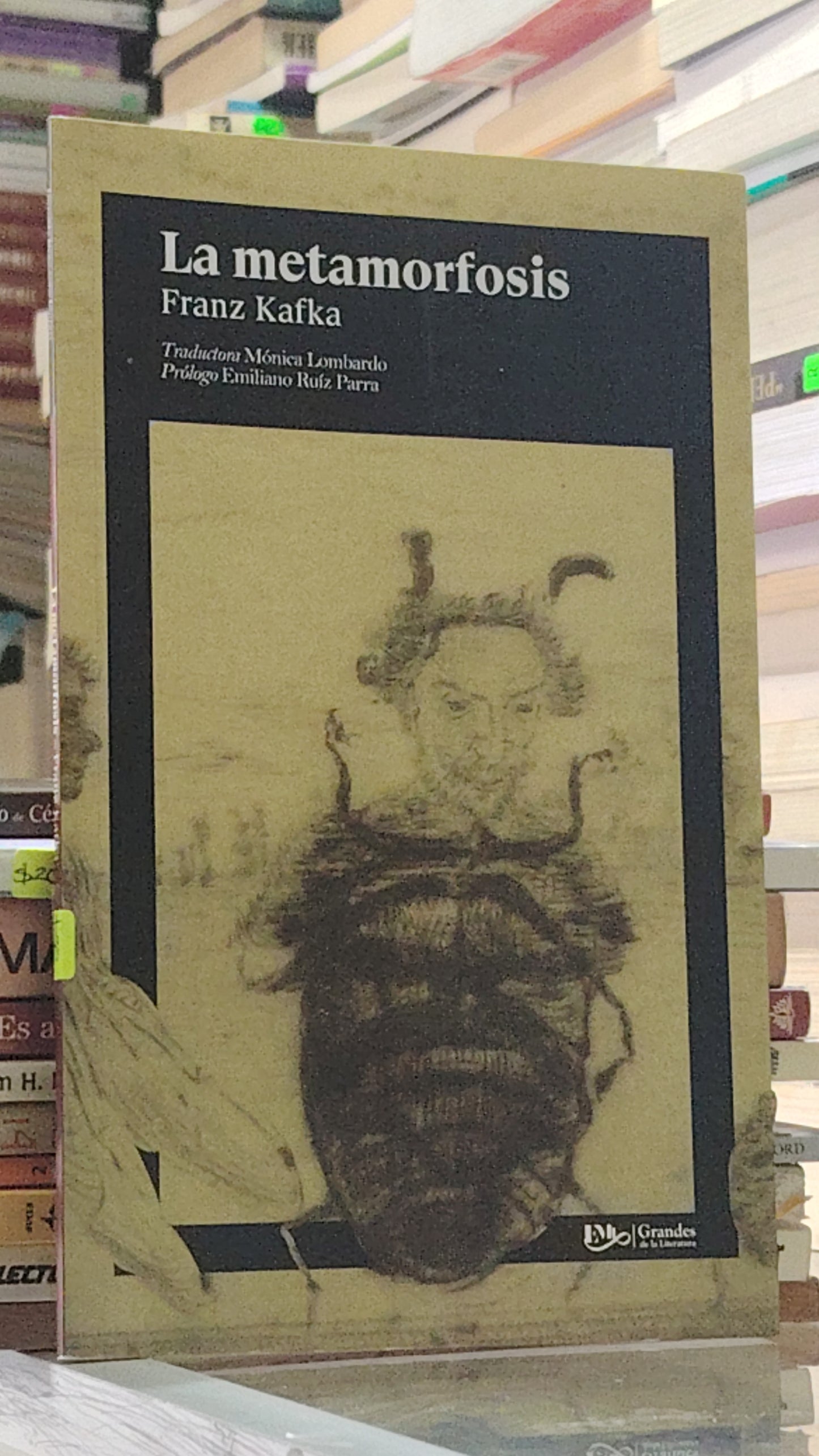 LA METAMORFOSIS POR FRANZ KAFKA USADO NOVELA JUÁREZ 507