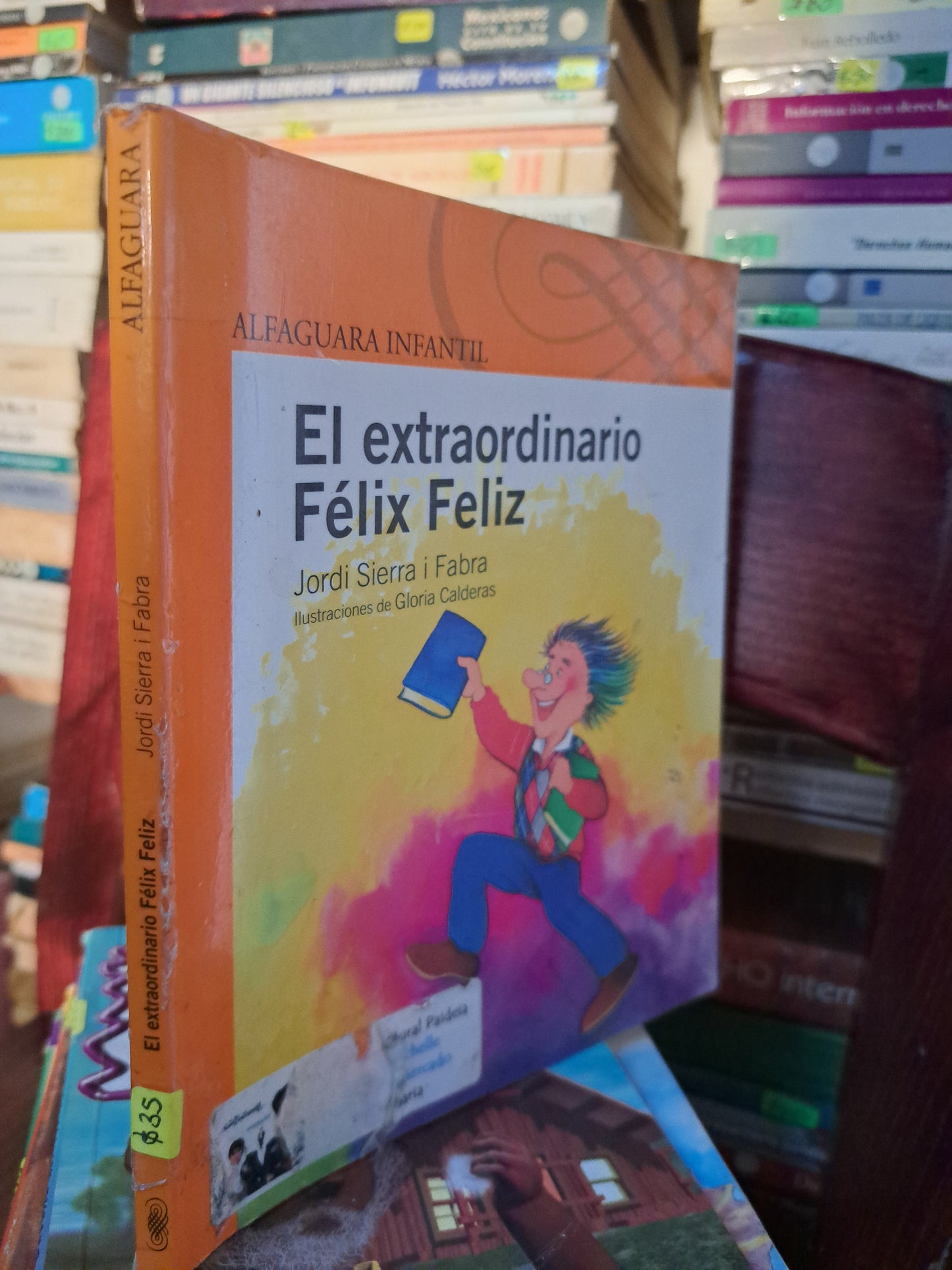 EL EXTRAORDINARIO FELIX FELIZ JORDI SIERRA I FABRA USADO INFANTIL LITERARIO 207