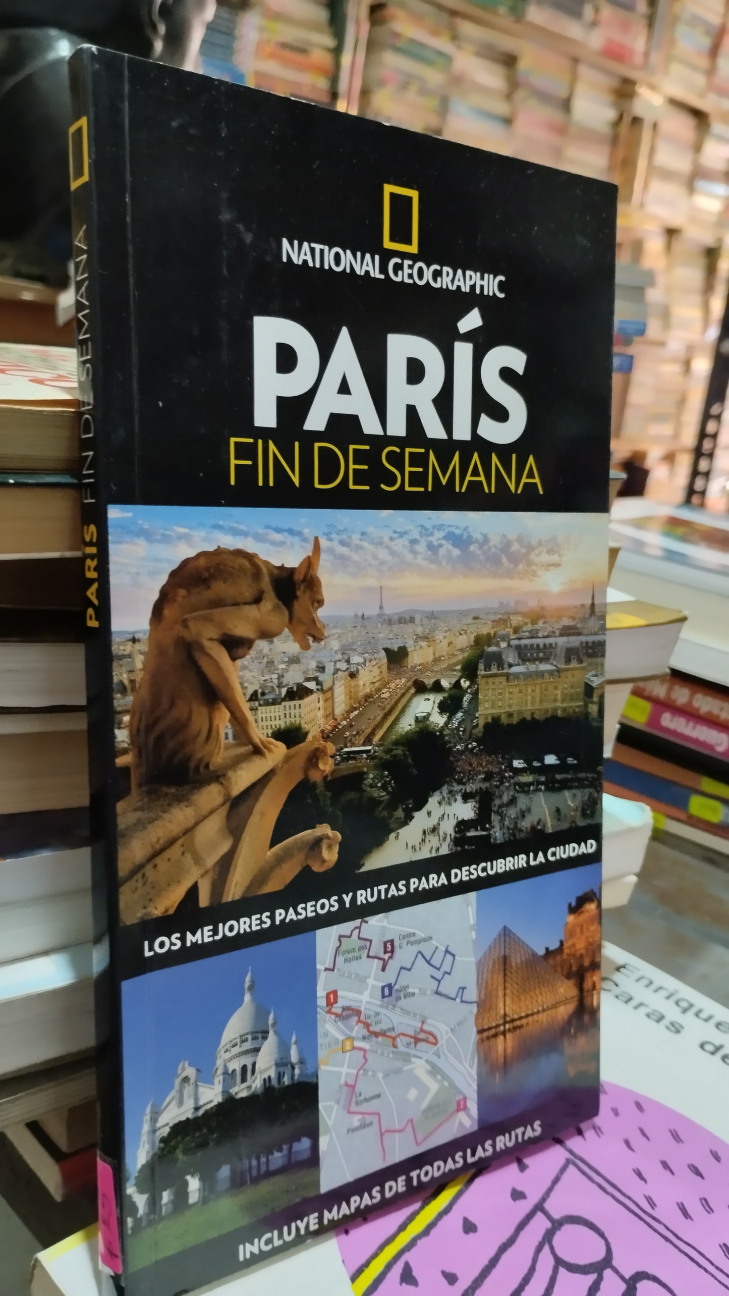 PARIS FIN DE SEMANA LIBRO USADO HISTORIA ALDAMA