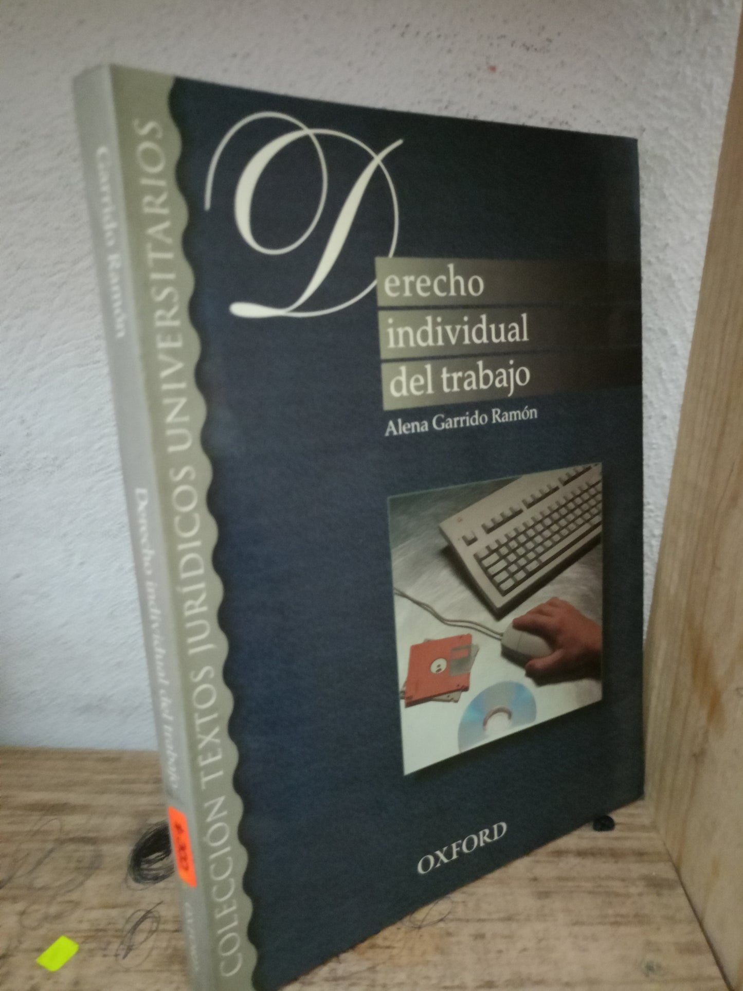 DERECHO INDIVIDUAL DEL TRABAJO POR ALENA GARRIDO RAMON USADO DERECHO LITERARIO 305