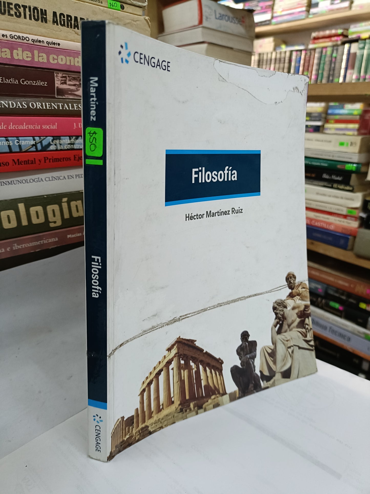 FILOSOFIA POR HECTOR MARTINEZ RUIZ USADO FILOSOFIA LITERARIO 207