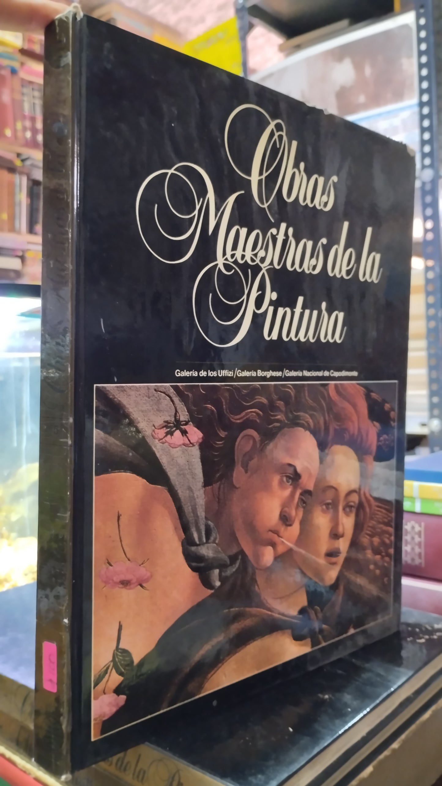 OBRAS MAESTRAS DE LA PINTURA 5 LIBRO USADO ARTE ALDAMA