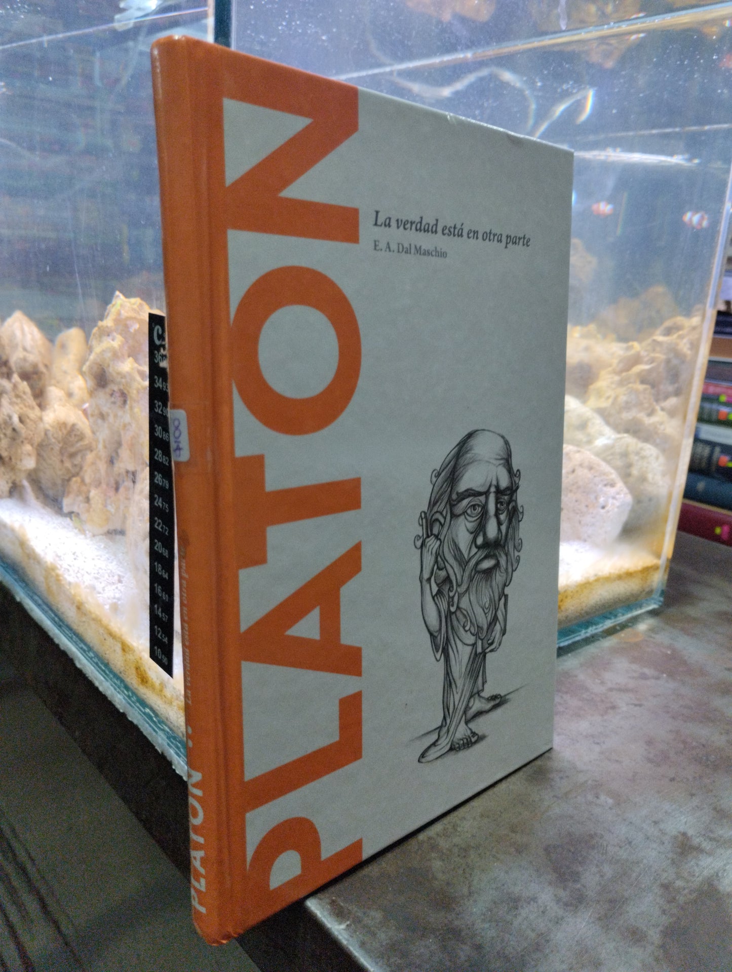PLATON LA VERDAD EN ESTA OTRA PARTE POR E A DEL MASCHIO USADO SOCIOLOGIA ALDAMA