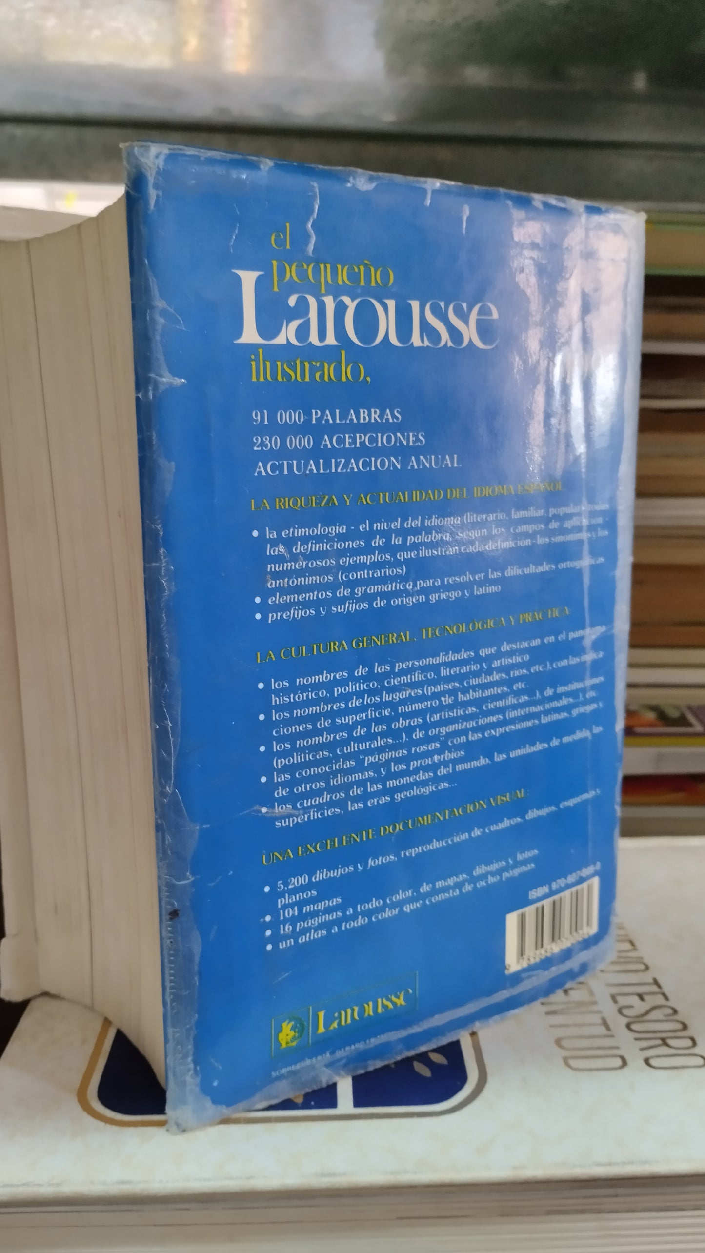 PEQUEÑO LAROUSSE ILUSTRADO 1991 LIBRO USADO EDUCACIÓN ALDAMA