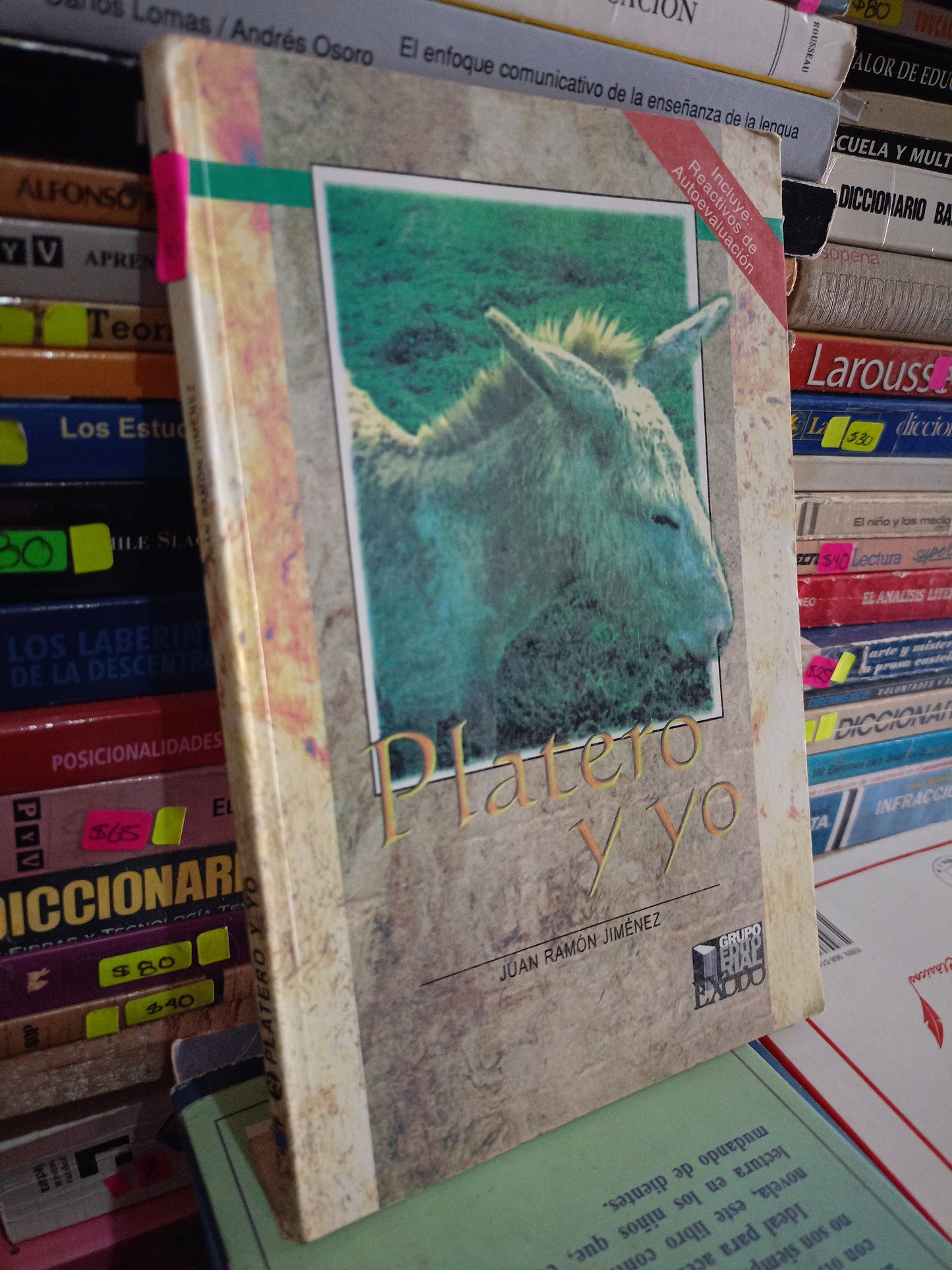 PLATERO Y YO POR JUAN RAMON JIMENEZ USADO INFANTIL LITERARIO 305
