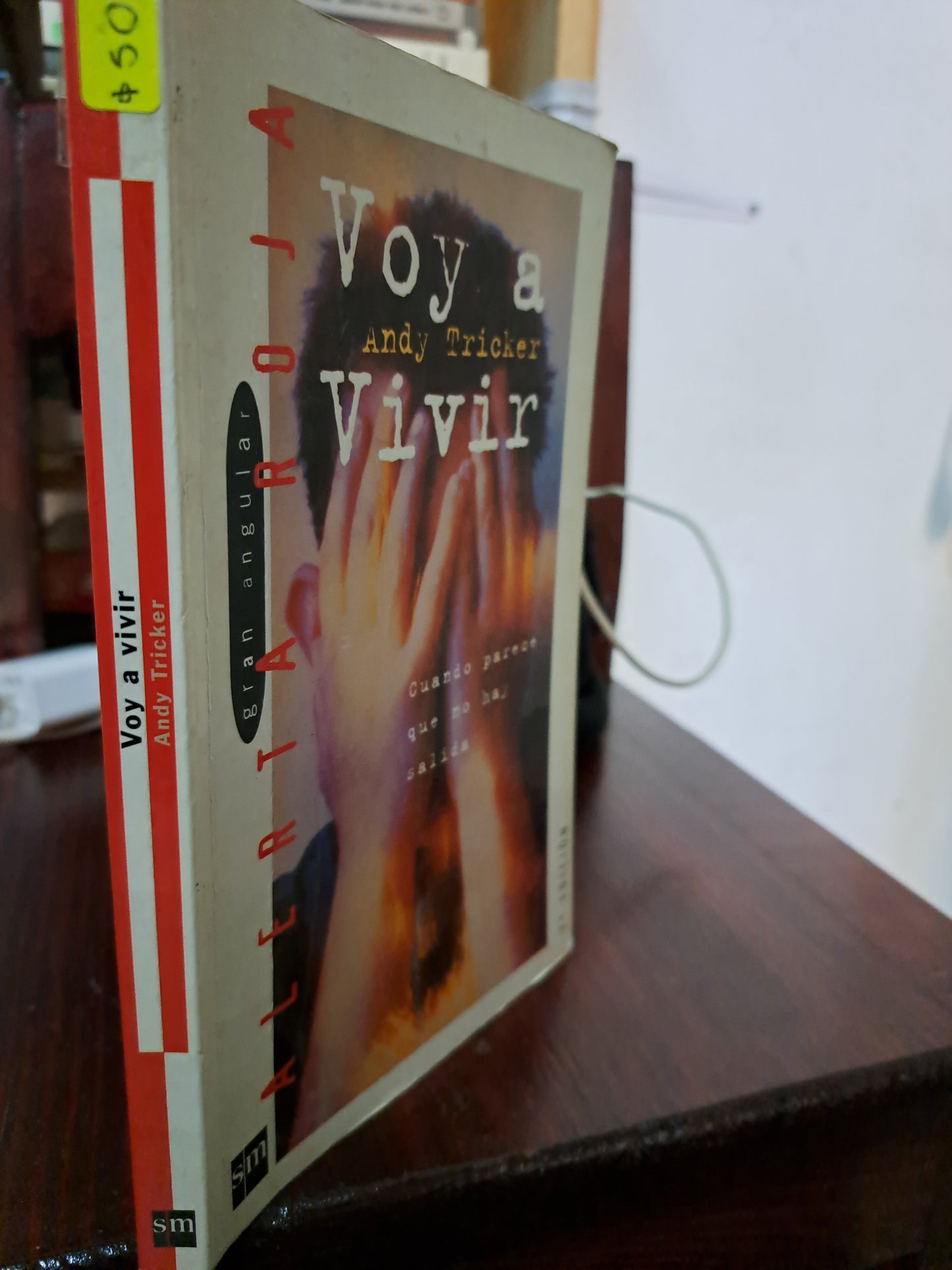 VOY A VIVIR ANDY TRICKER USADO NOVELA LITERARIO 207
