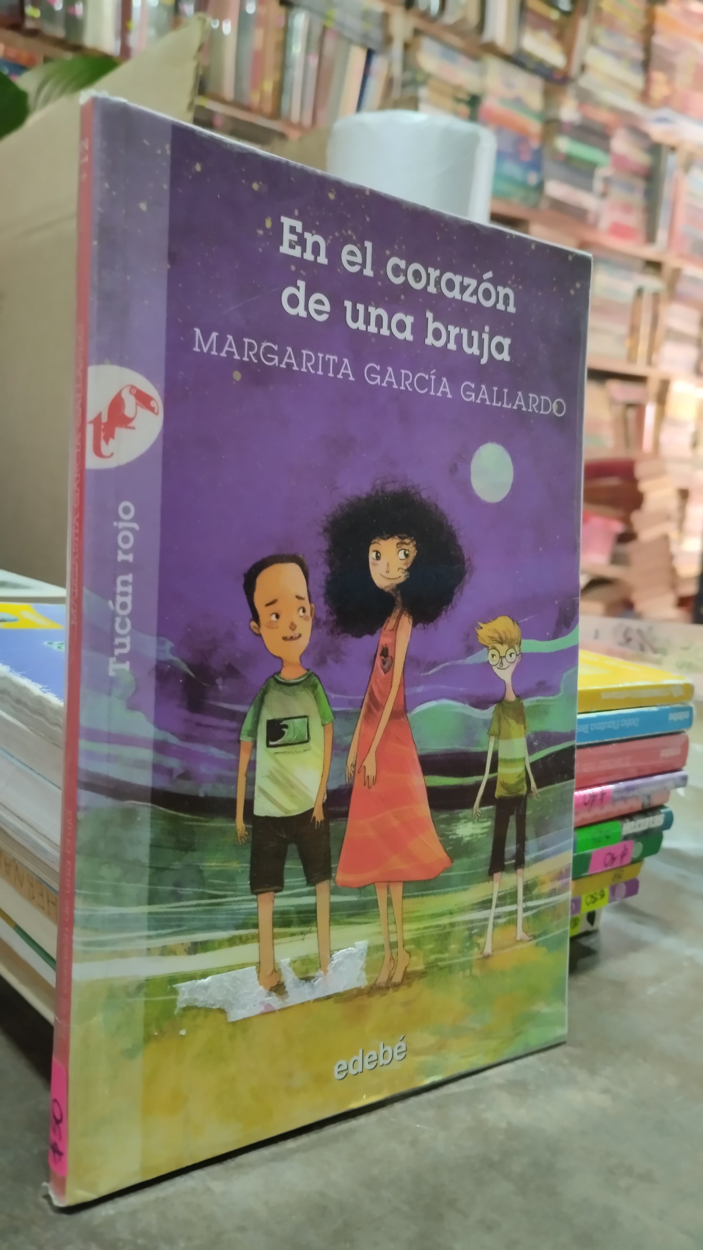 EN EL CORAZON DE UNA BRUJA POR MARGARITA GARCIA GALLARDO LIBRO USADO INFANTIL ALDAMA