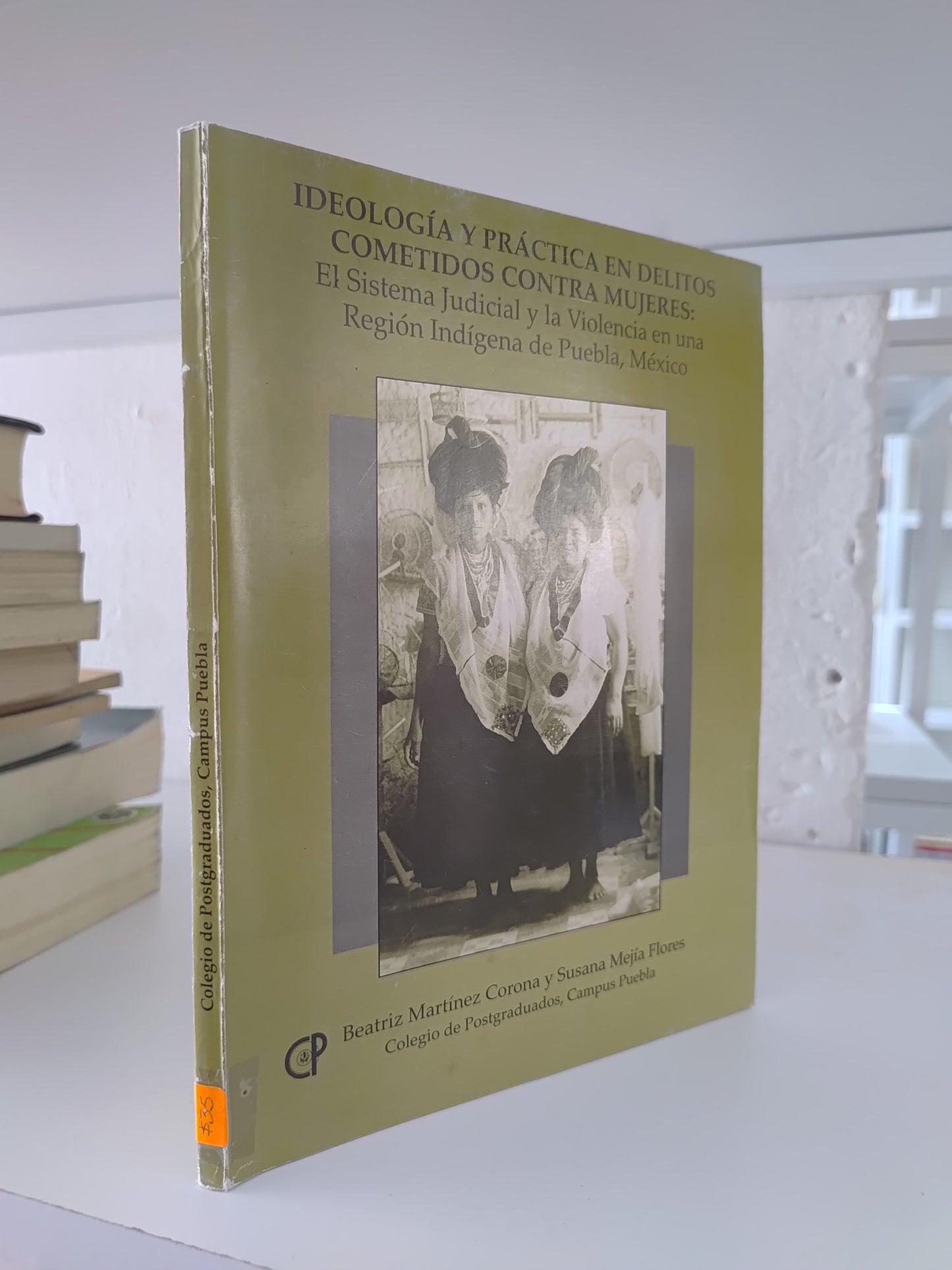 IDEOLOGIA Y PRACTICA EN DELITOS COMETIDOS CONTRA MUJERES POR BEATRIZ MARTINEZ CORONA USADO SOCIOLOGIA JUAREZ 515