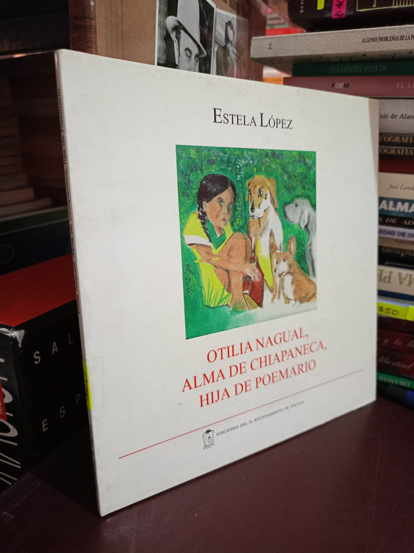 OTILIA NAGUAL ALMA DE CHIAPANECA HIJA DE POEMARIO ESTELA LOPEZ USADO POESÍA LITERARIO #305
