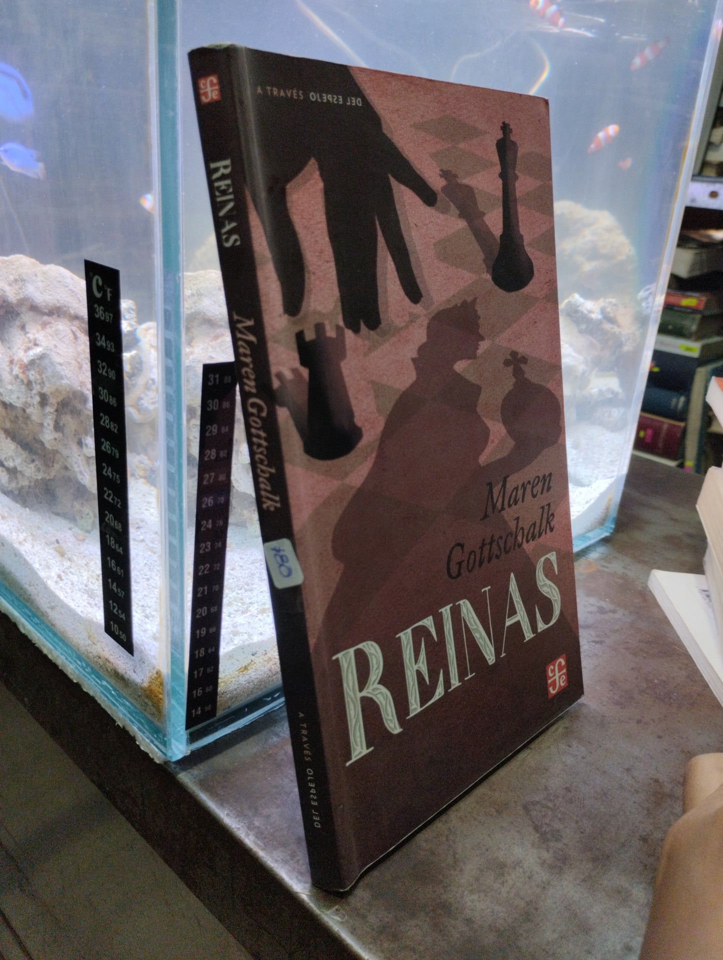 REINAS POR MAREN GORTSCHALK USADO NOVELAS ALDAMA