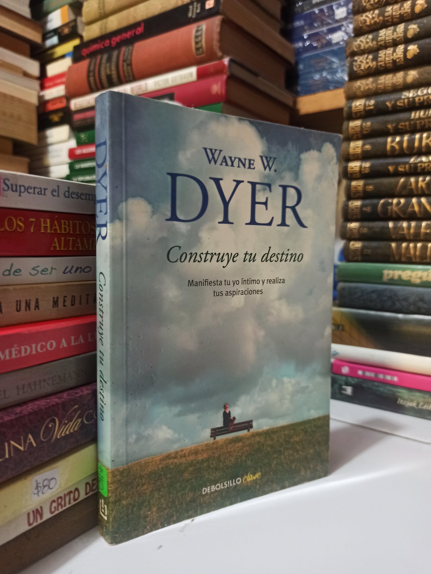 CONSTRUYE TU DESTINO POR WAYNE W. USADO SUPERACIÓN PERSONAL JUÁREZ