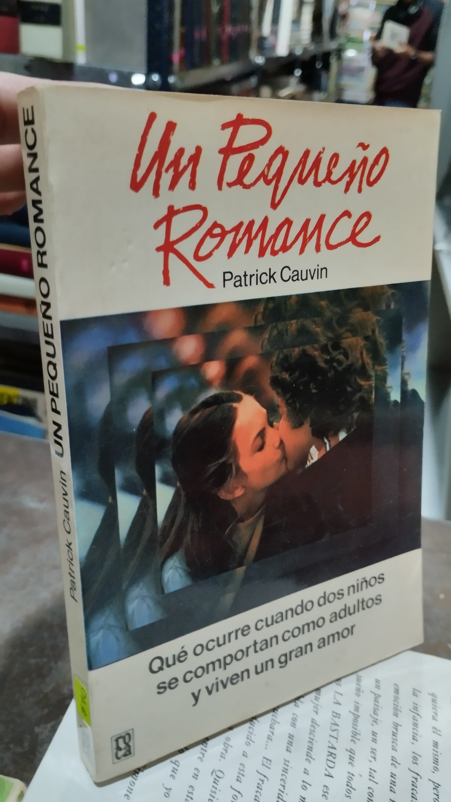 UN PEQUEÑO ROMANCE POR PATRICK CAUVIN LIBRO USADO NOVELAS ALDAMA