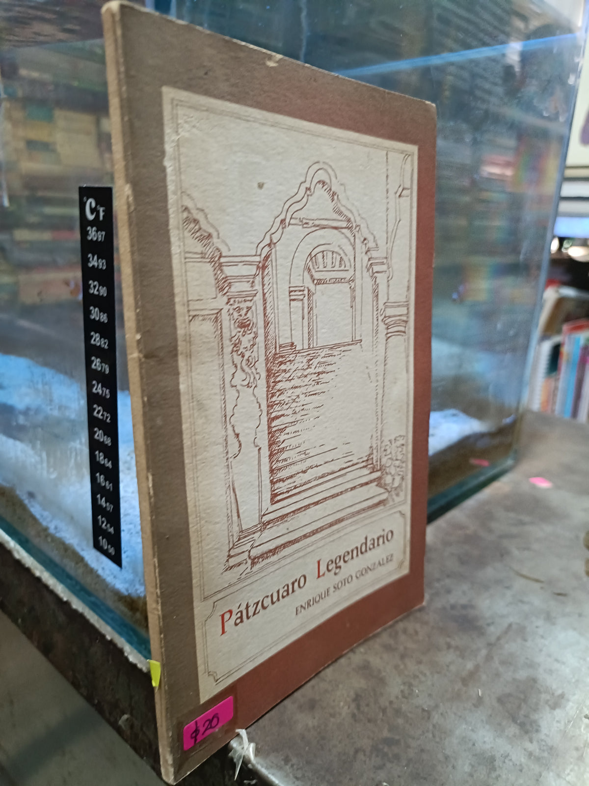 PATZCUARO LEGENDARIO POR ENRIQUE SOTO GONZLEZ USADO HISTORIA ALDAMA