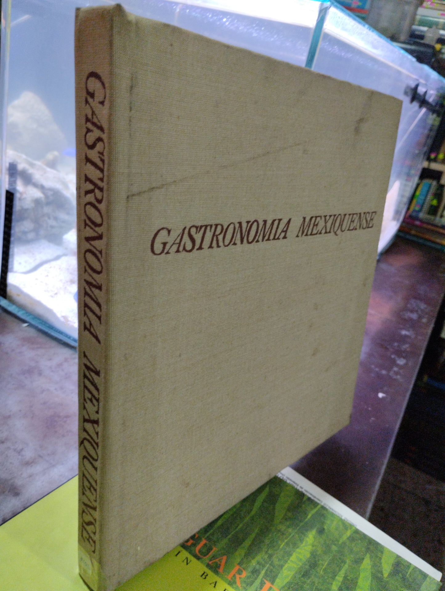 GASTRONOMIA MEXIQUENSE USADO COCINA ALDAMA
