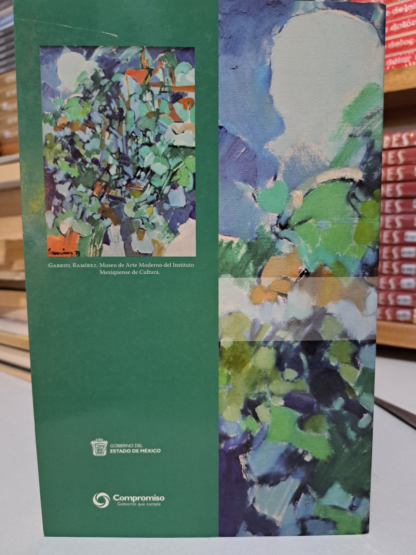 DOS AUTORES LATINOS VIRGILIO Y HORACIO GOBIERNO DEL ESTADO DE MÉXICO USADO NOVELA JUÁREZ