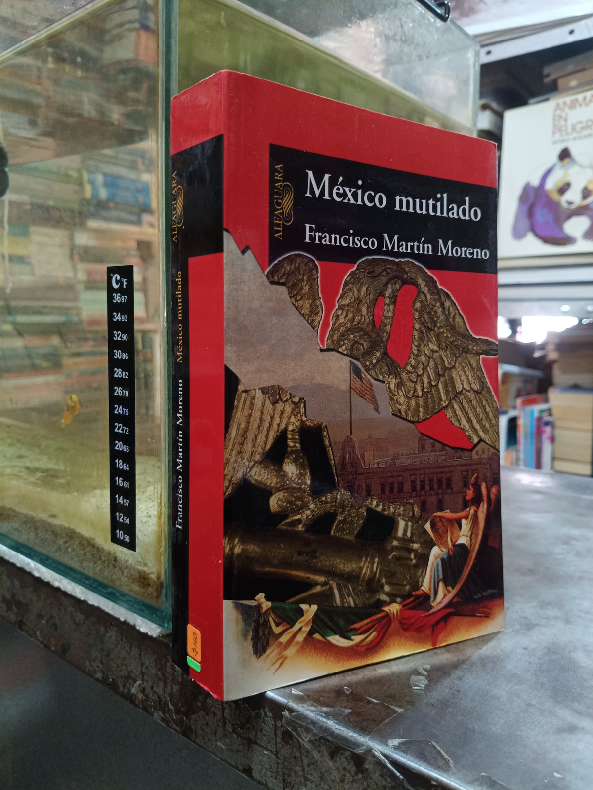 MEXICO MUTILADO POR FRANCISCO MARTIN MORENO USADO POLITICA ALDAMA