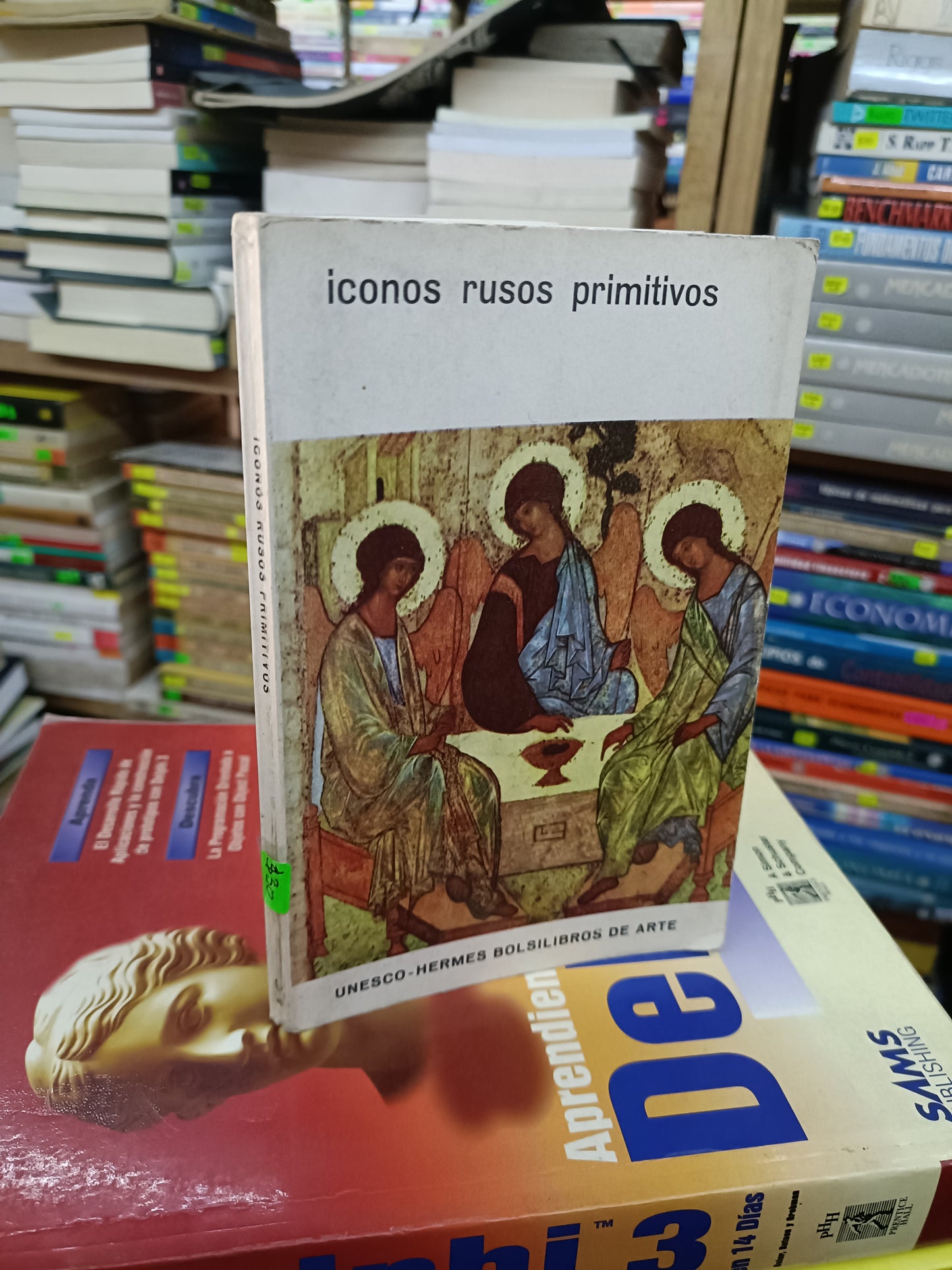 ICONOS RUSOS PRIMITIVOS POR VÍCTOR LASAREFF USADO ARTE LITERARIO 207
