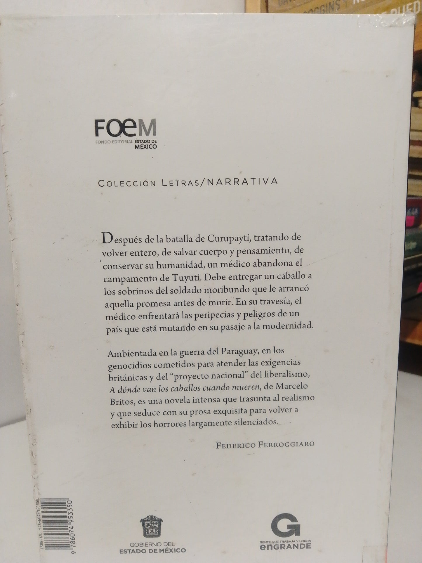 A DÓNDE VAN LOS CABALLOS CUANDO MUEREN POR MARCELO BRITOS USADO NOVELA JUÁREZ