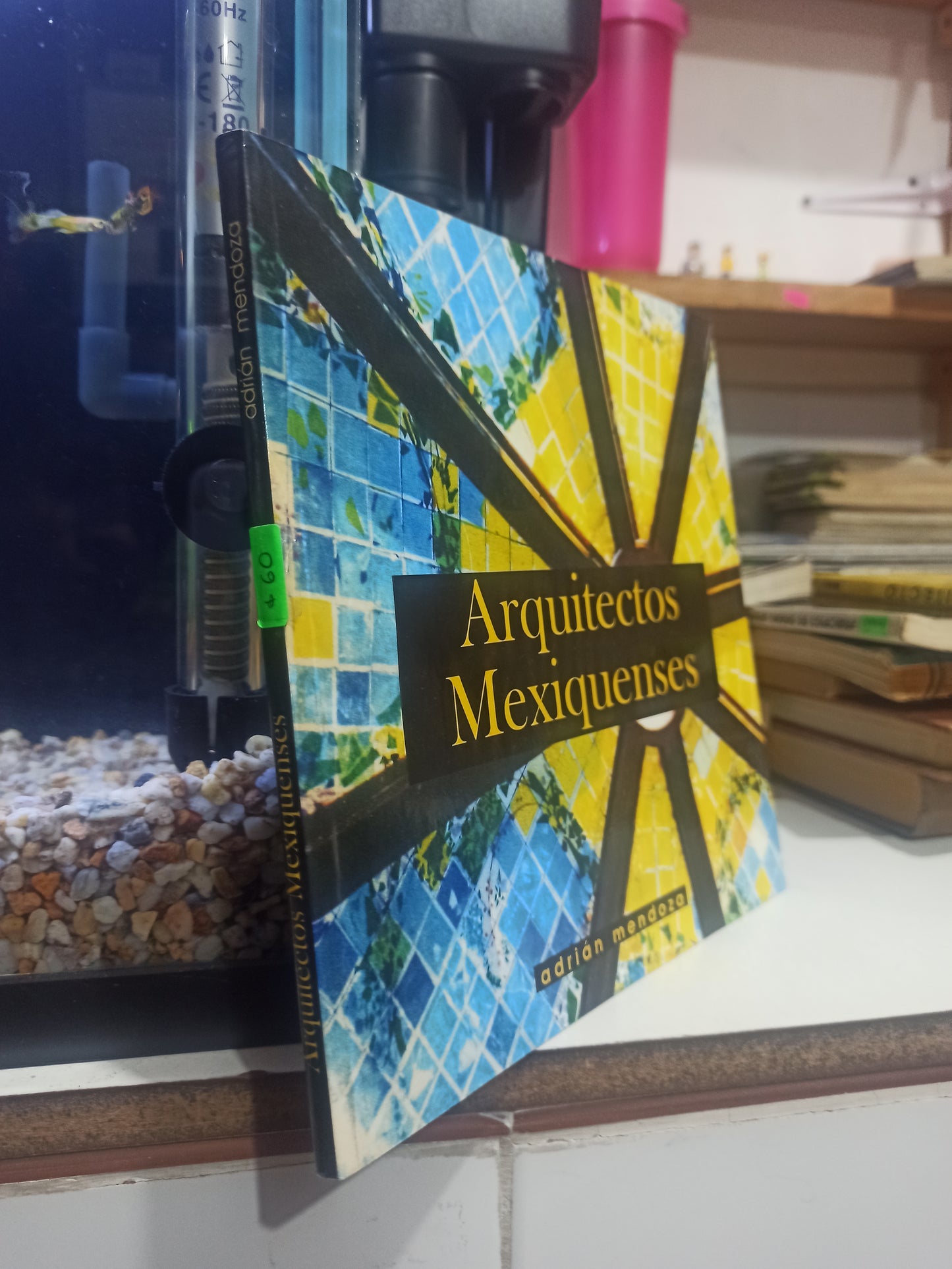 ARQUITECTOS MEXIQUENSES POR ADRIAN MENDOZA USADO ARQUITECTURA JUÁREZ
