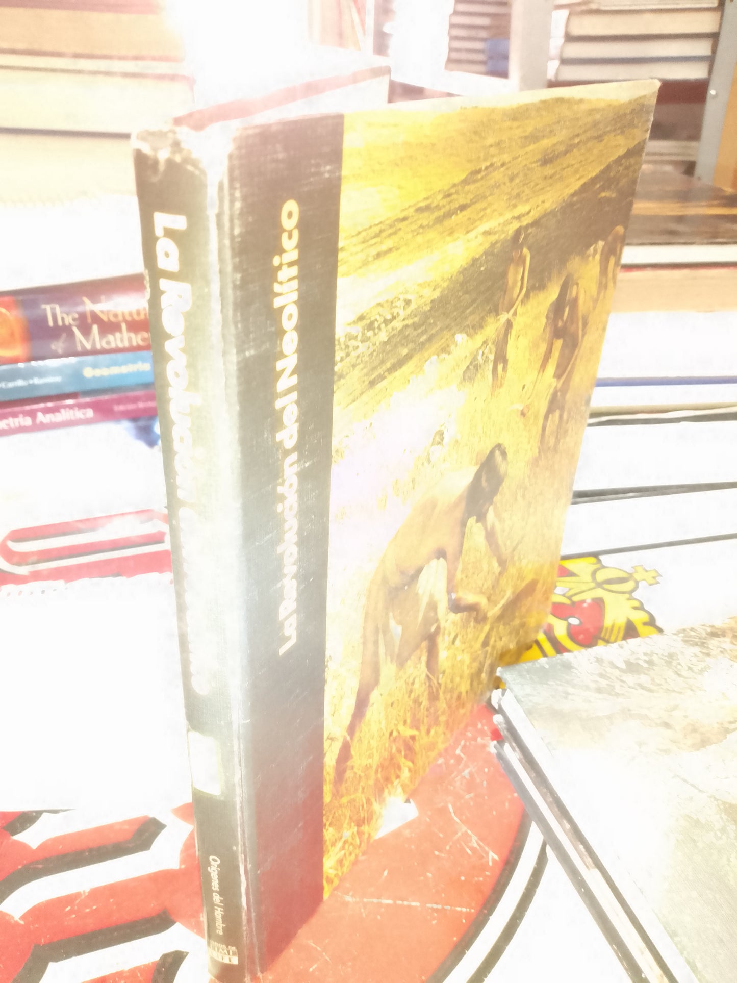 LA REVOLUCION DEL NEOLITICO POR JONATHAN NORTON LEONARD USADO HISTORIA LITERARIO 207