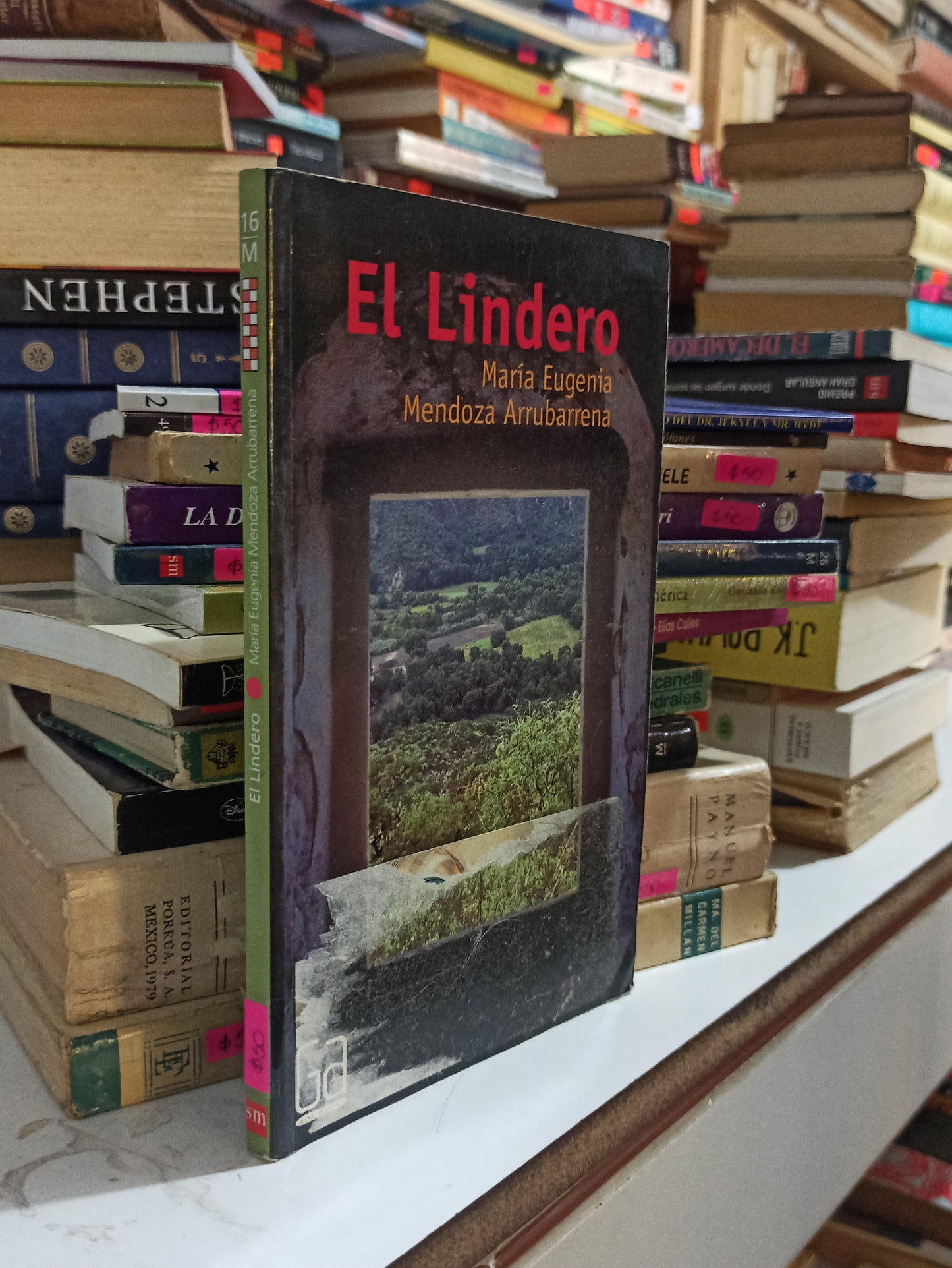 EL LINDERO POR MARÍA EUGENIA MENDOZA ARRUBARRENA USADO NOVELAS JUÁREZ