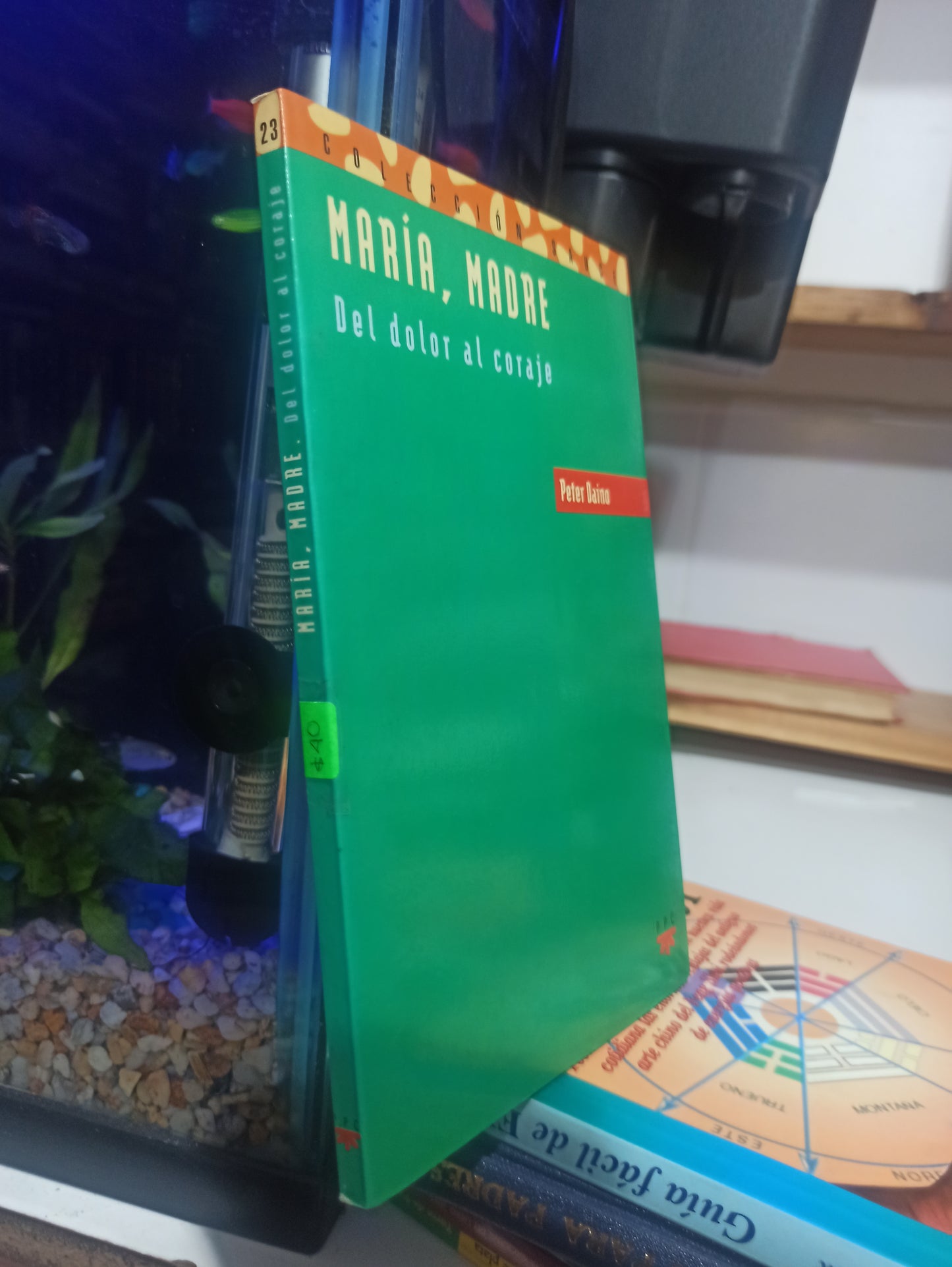 MARIA MADRE DEL DOLOR AL CORAJE POR PETER DAINO USADO NOVELA JUÁREZ