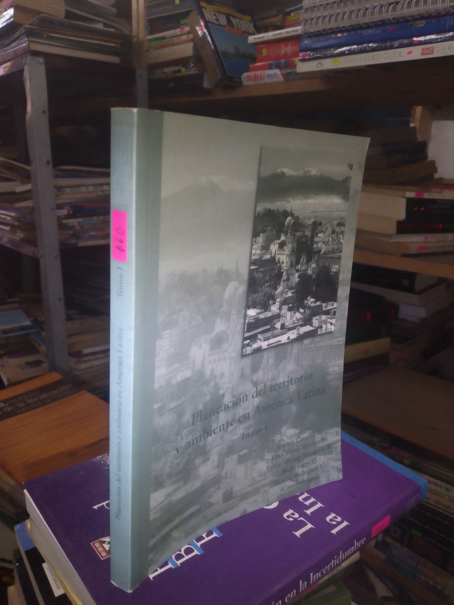 PLANEACIÓN DEL TERRITORIO Y AMBIENTE EN AMÉRICA LATINA TOMO I (VARIOS AUTORES) USADO SOCIOLOGÍA LITERARIO 207