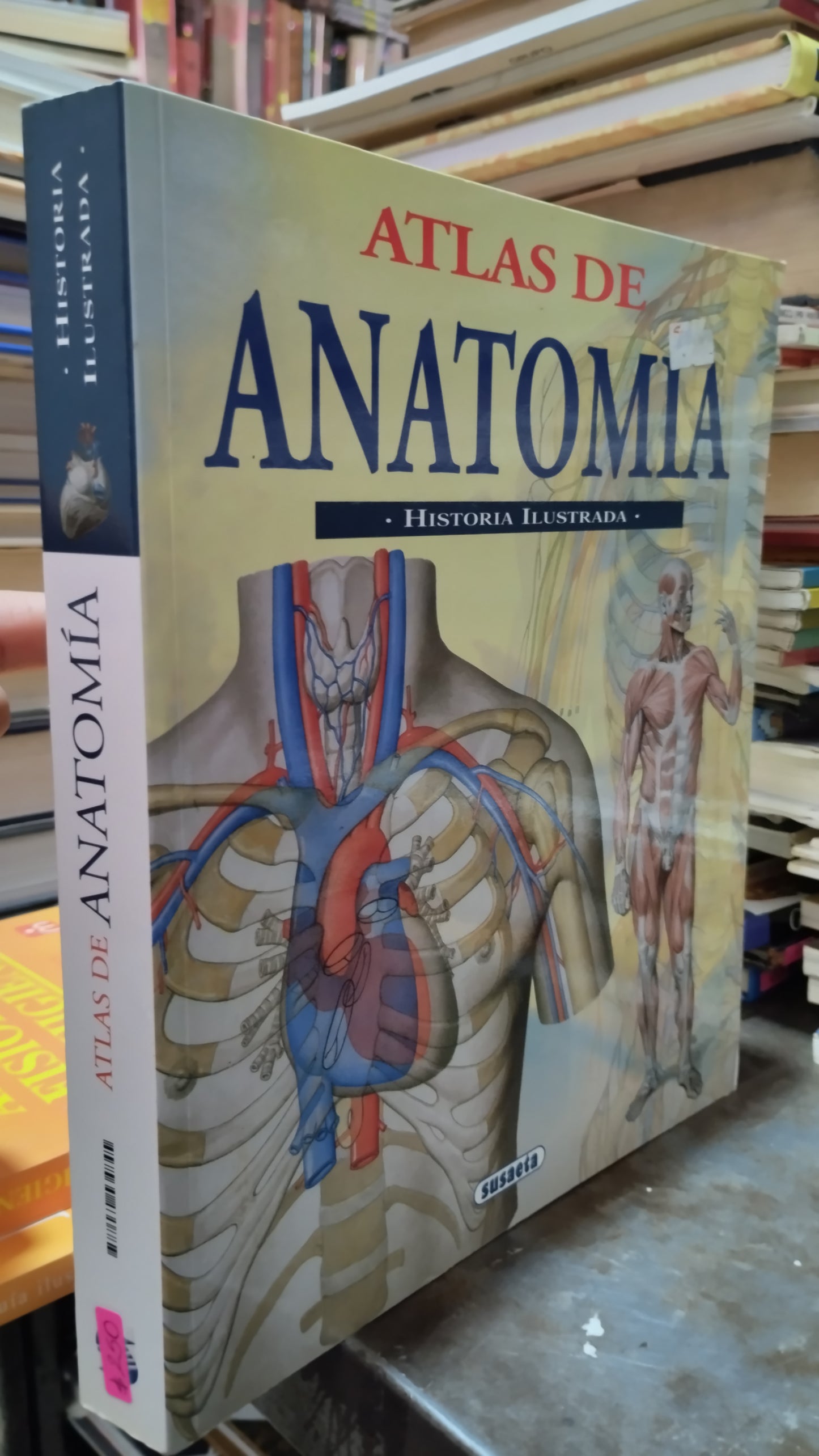 ATLAS DE ANATOMIA HISTORIA ILUSTRADA LIBRO USADO SALUD ALDAMA