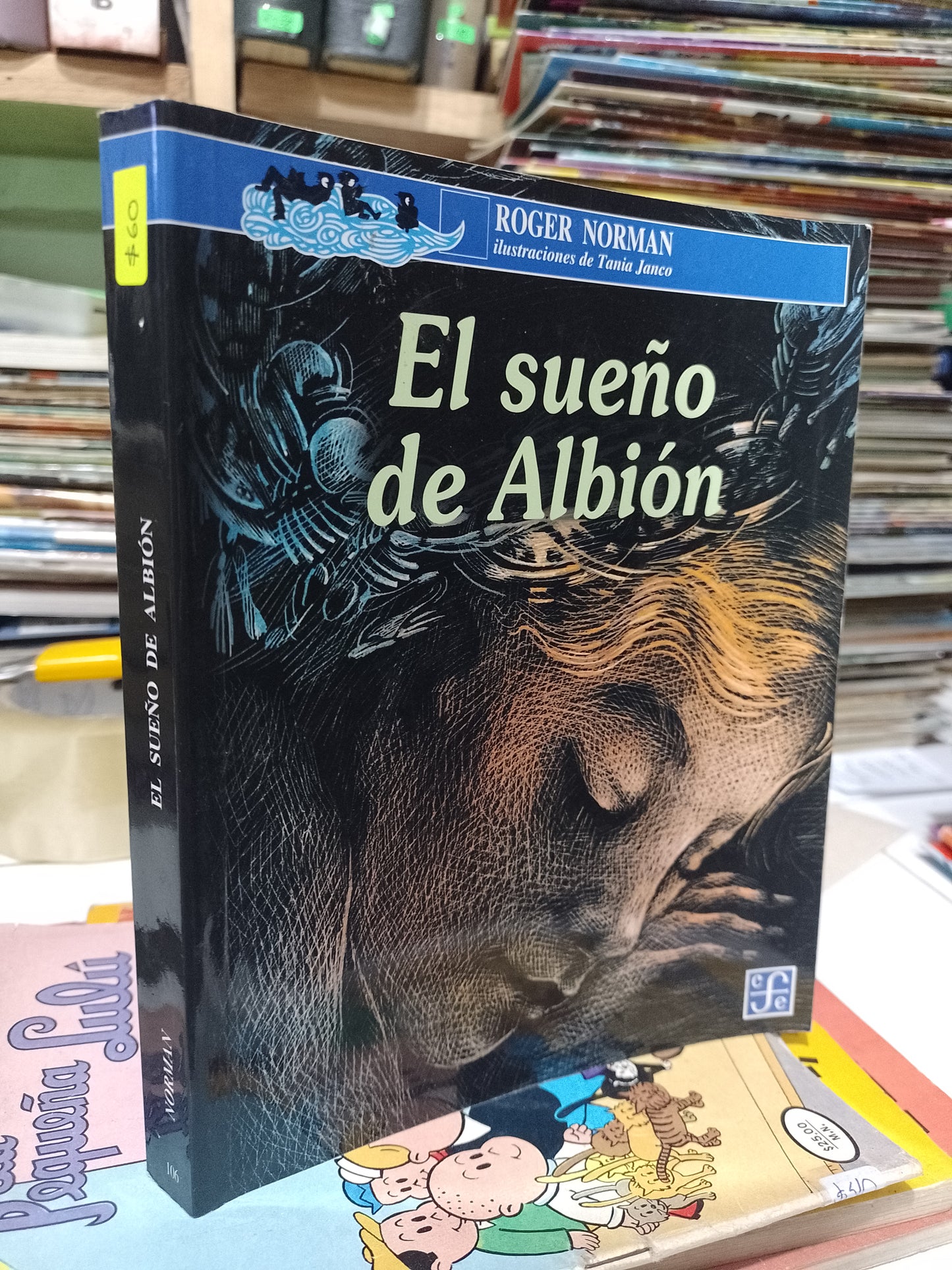 EL SUEÑO DE ALBION POR ROGER NORMAN USADO INFANTIL JUAREZ 507