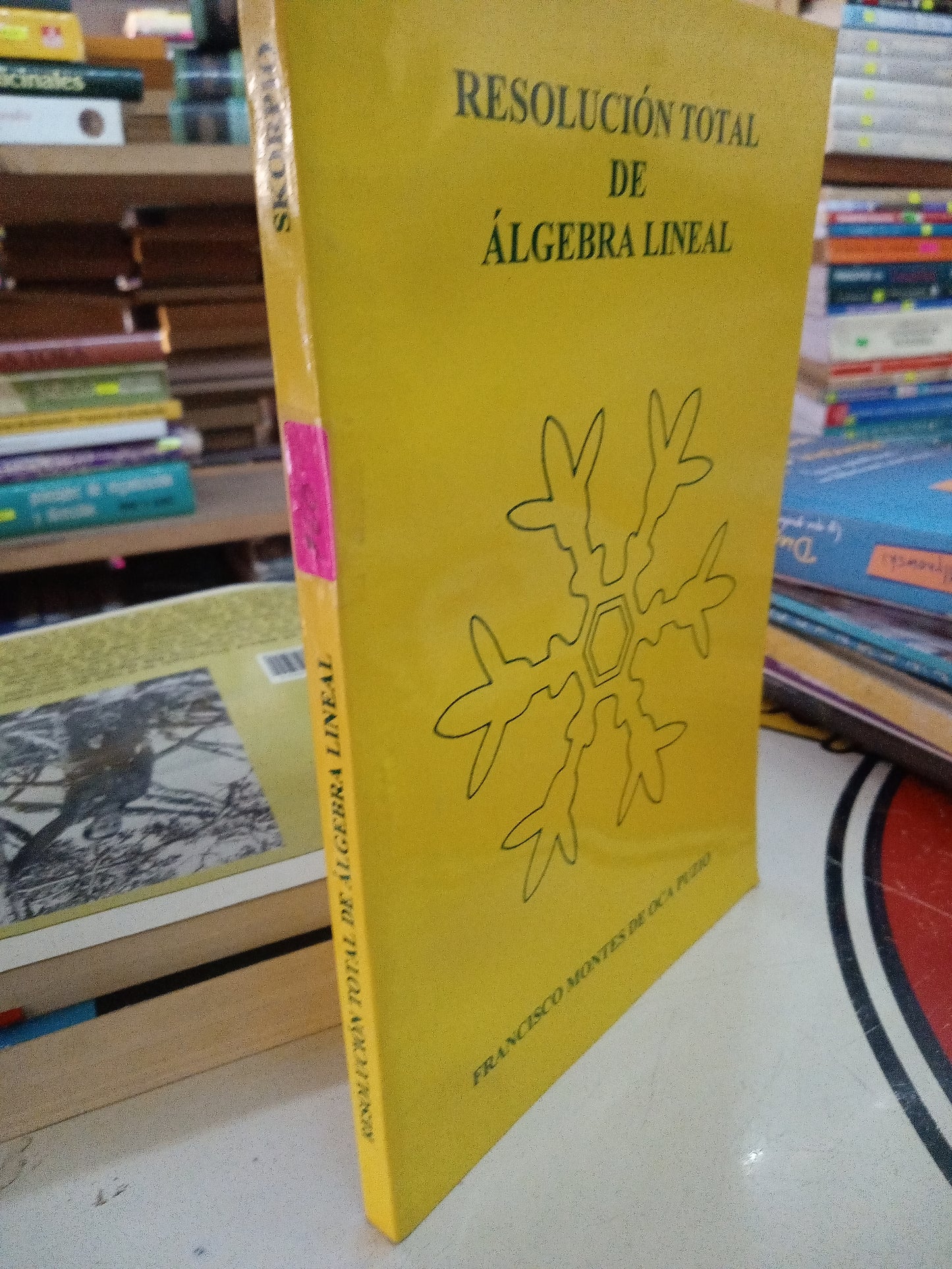 RESOLUCION TOTAL DE ALGEBRA LINEAL POR FRANCISCO MONTES DE OCA USADO MATEMÁTICAS LITERARIO 207