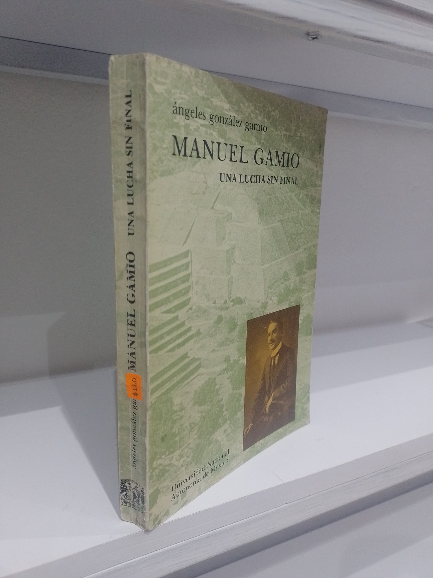 MANUEL GAMIO UNA LUCHA SIN FINAL POR ANGELES GONZALEZ GAMIO USADO HISTORIA JUAREZ 515
