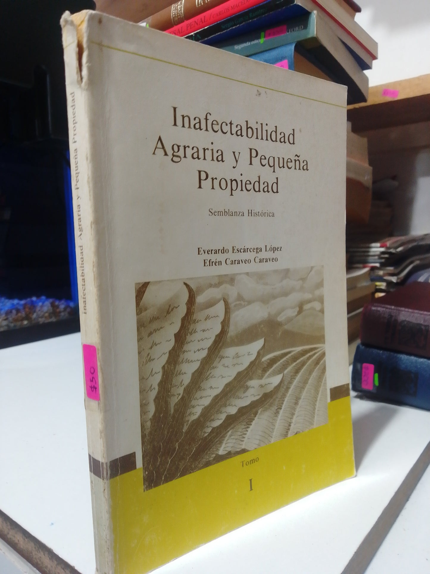INAFECTABILIDAD AGRARIA Y PEQUEÑA PROPIEDAD POR EVERARDO ESCARCEGA USADO DERECHO JUAREZ