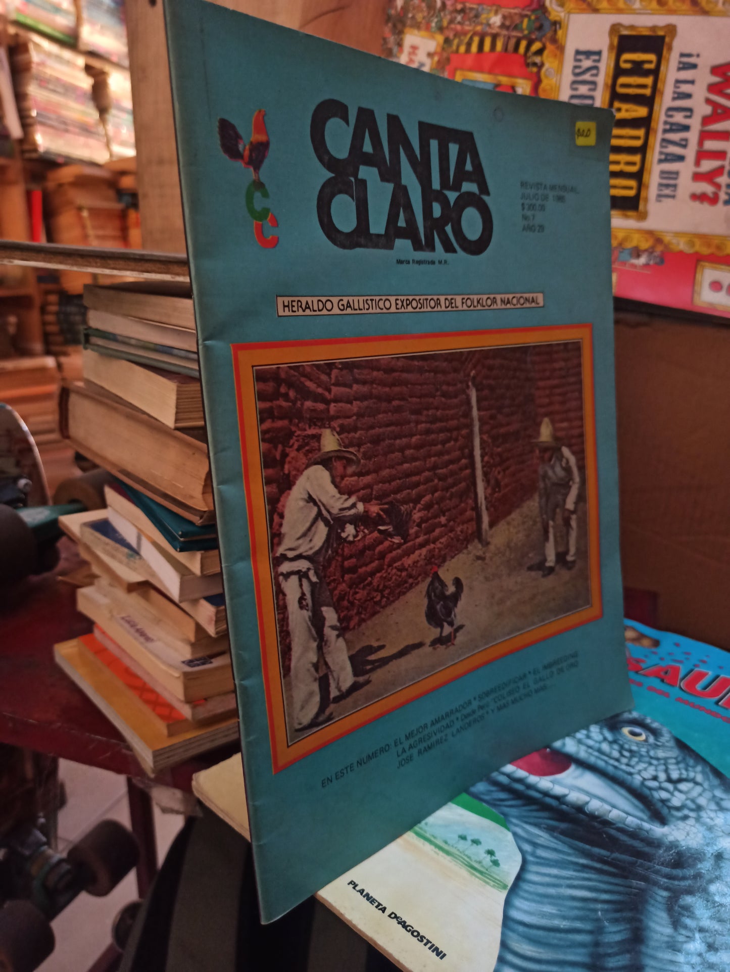 REVISTA CANTA CLARO POR EDITORIAL CEVA USADO AGRICULTURA LITERARIO 207