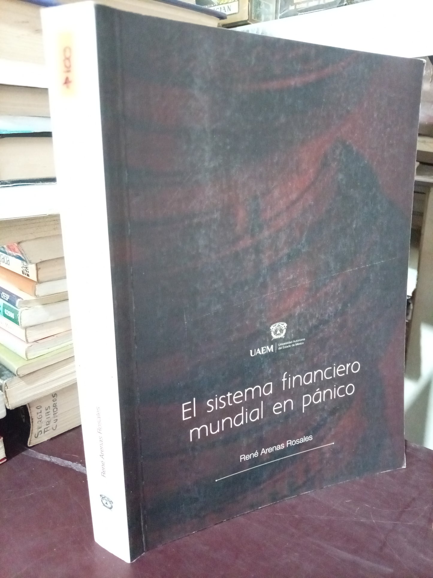 EL SISTEMA FINANCIERO MUNDIAL EN PANICO POR RENE ARENAS ROSALES USADO CONTABILIDAD LITERARIO 305