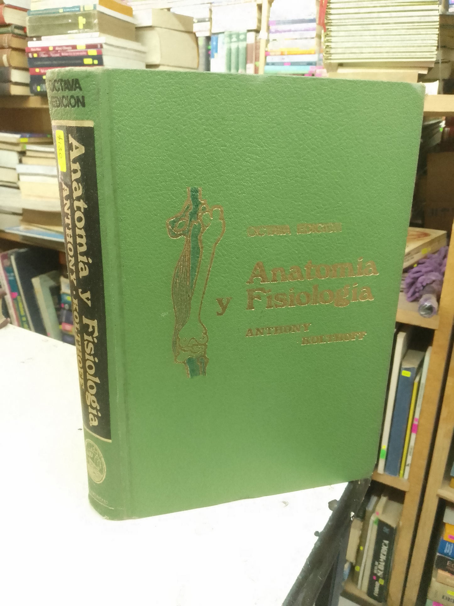 ANATOMIA Y FISIOLOGIA POR ANTHONY Y KOLTHOFF USADO MEDICINA LITERARIO 207