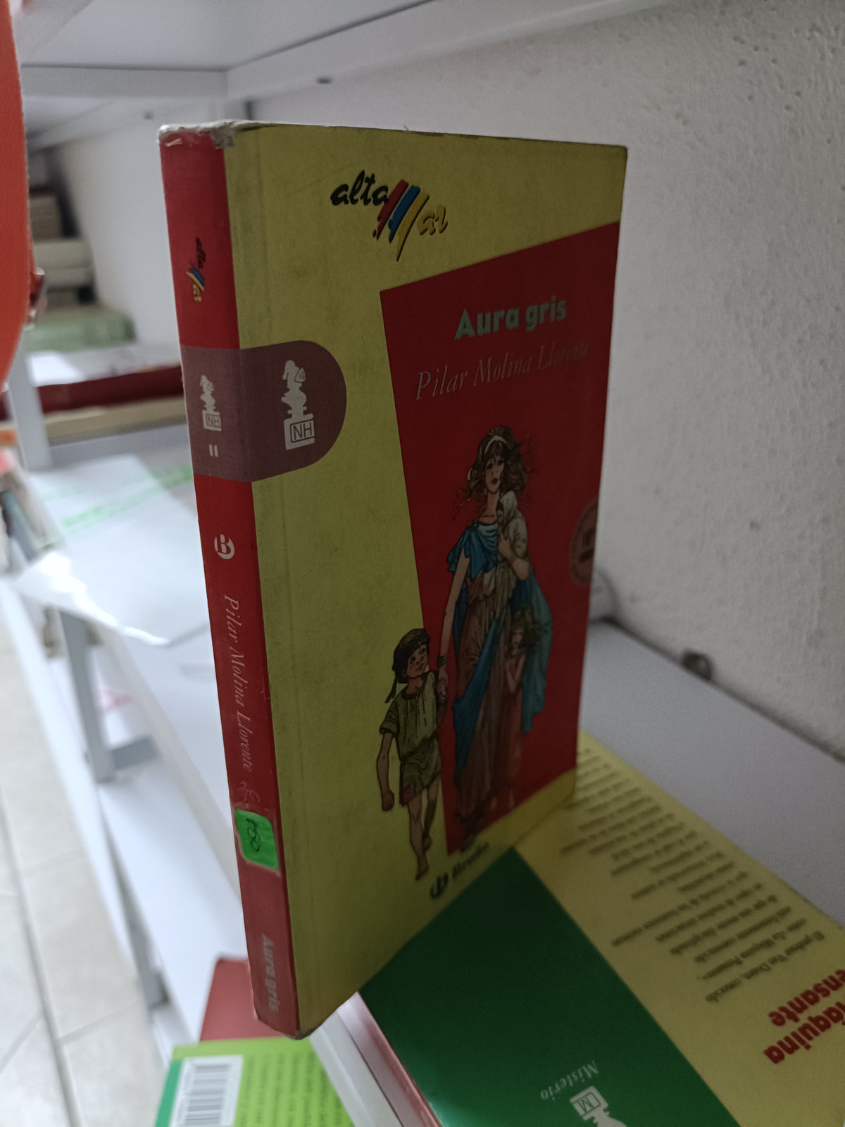 AURA GRIS POR PILAR MOLINA LLORENTE USADO INFANTIL JUAREZ 515
