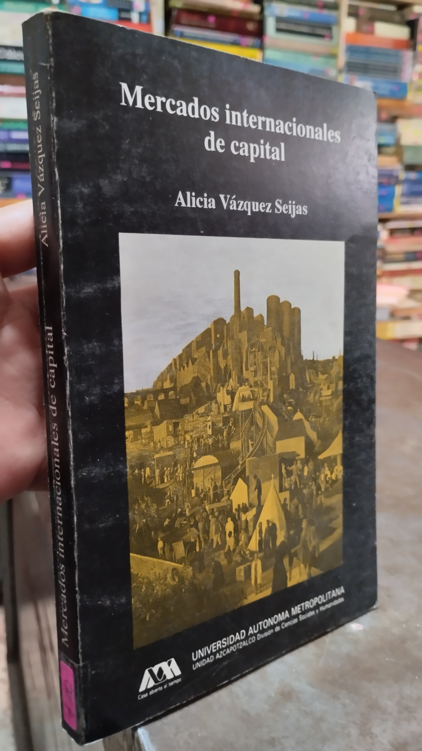 MERCADOS INTERNACIONALES DE CAPITAL POR ALICIA VAZQUEZ SEIJAS LIBRO USADO ADMINISTRACION ALDAMA