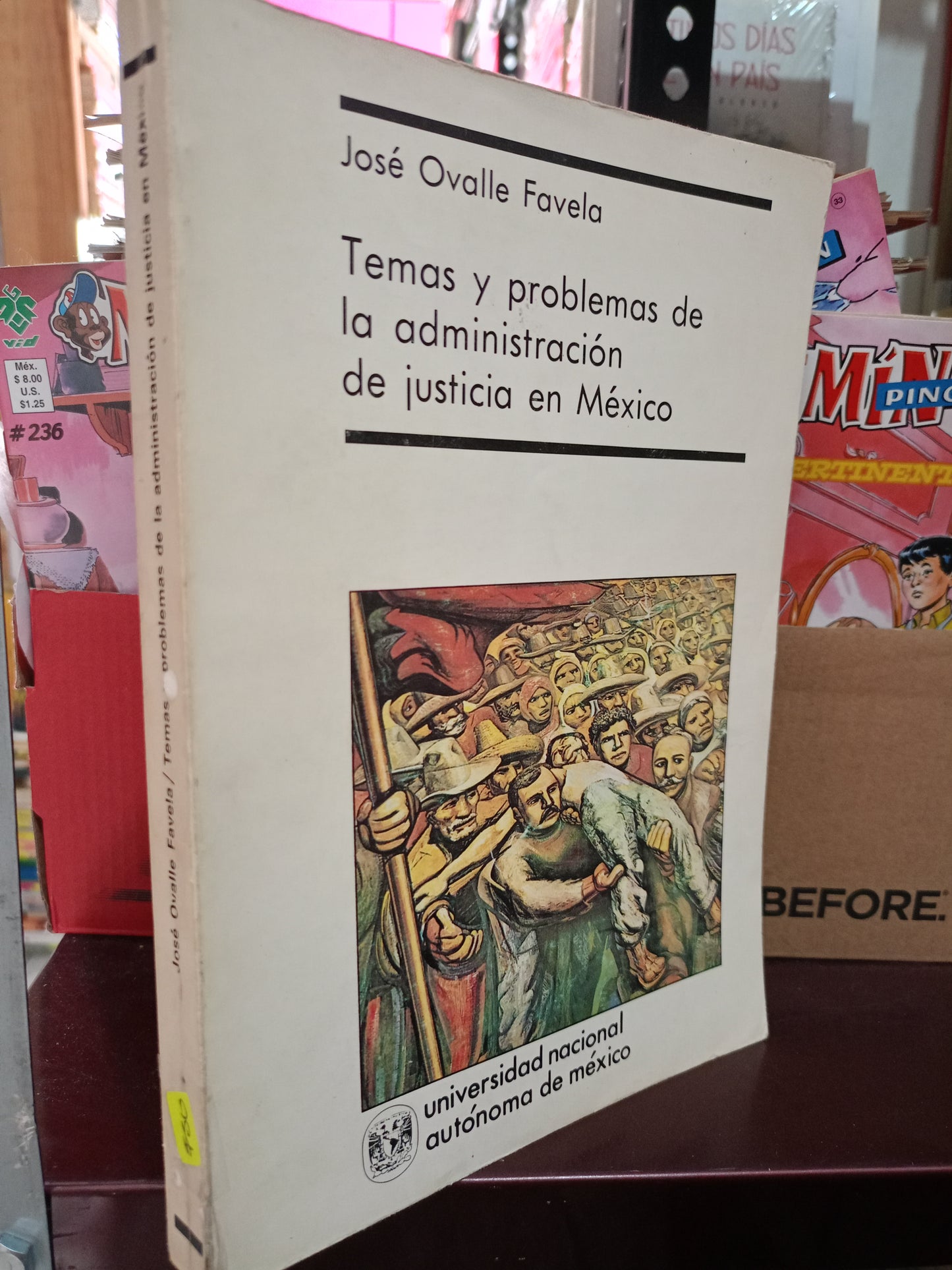 TEMAS Y PROBLEMAS DE ADMINISTRACION DE JUSTICIA EN MEXICO POR JOSE OVALLE FAVELA USADO DERECHO LITERARIO 305